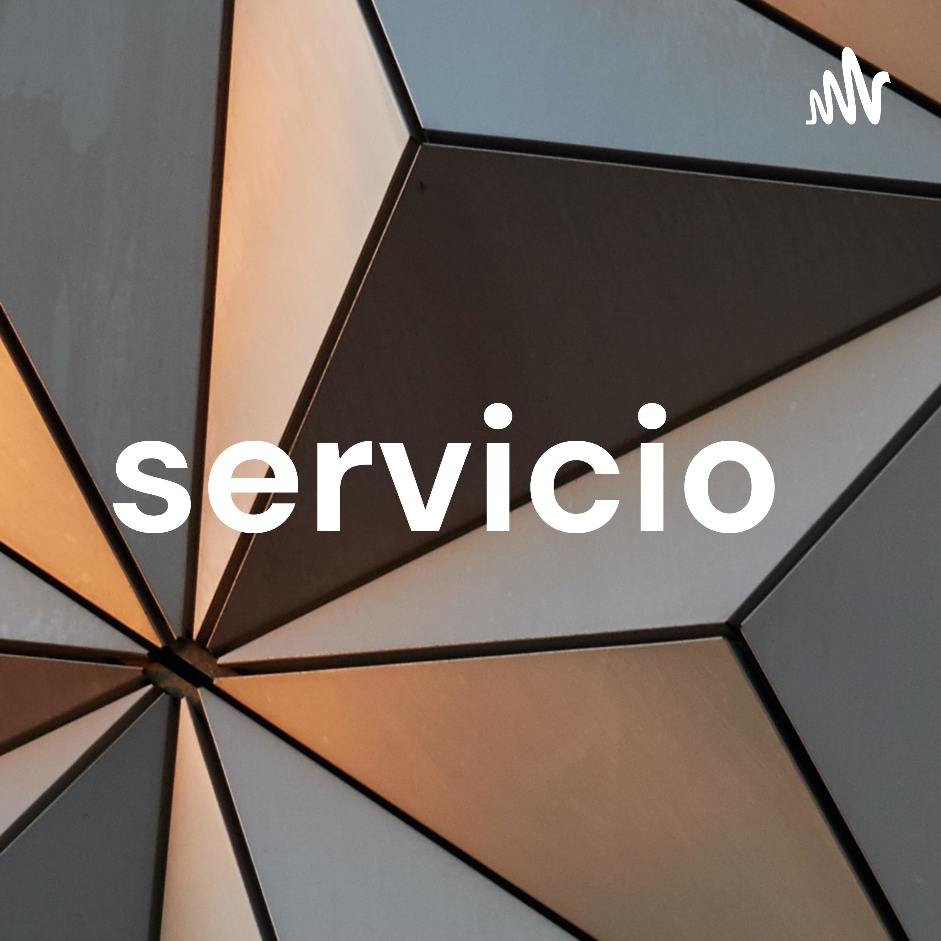 servicio cover art
