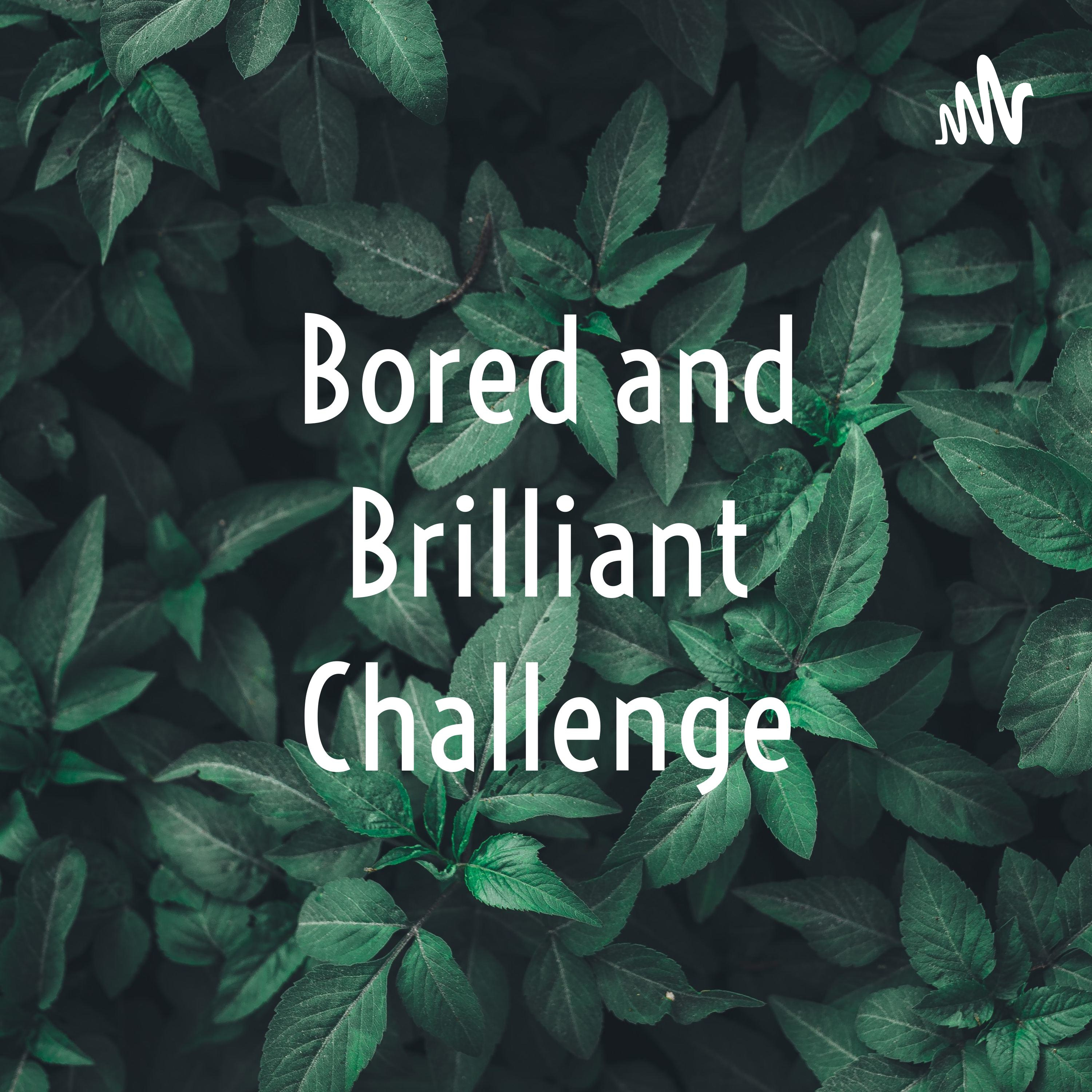 Bored and Brilliant Challenge