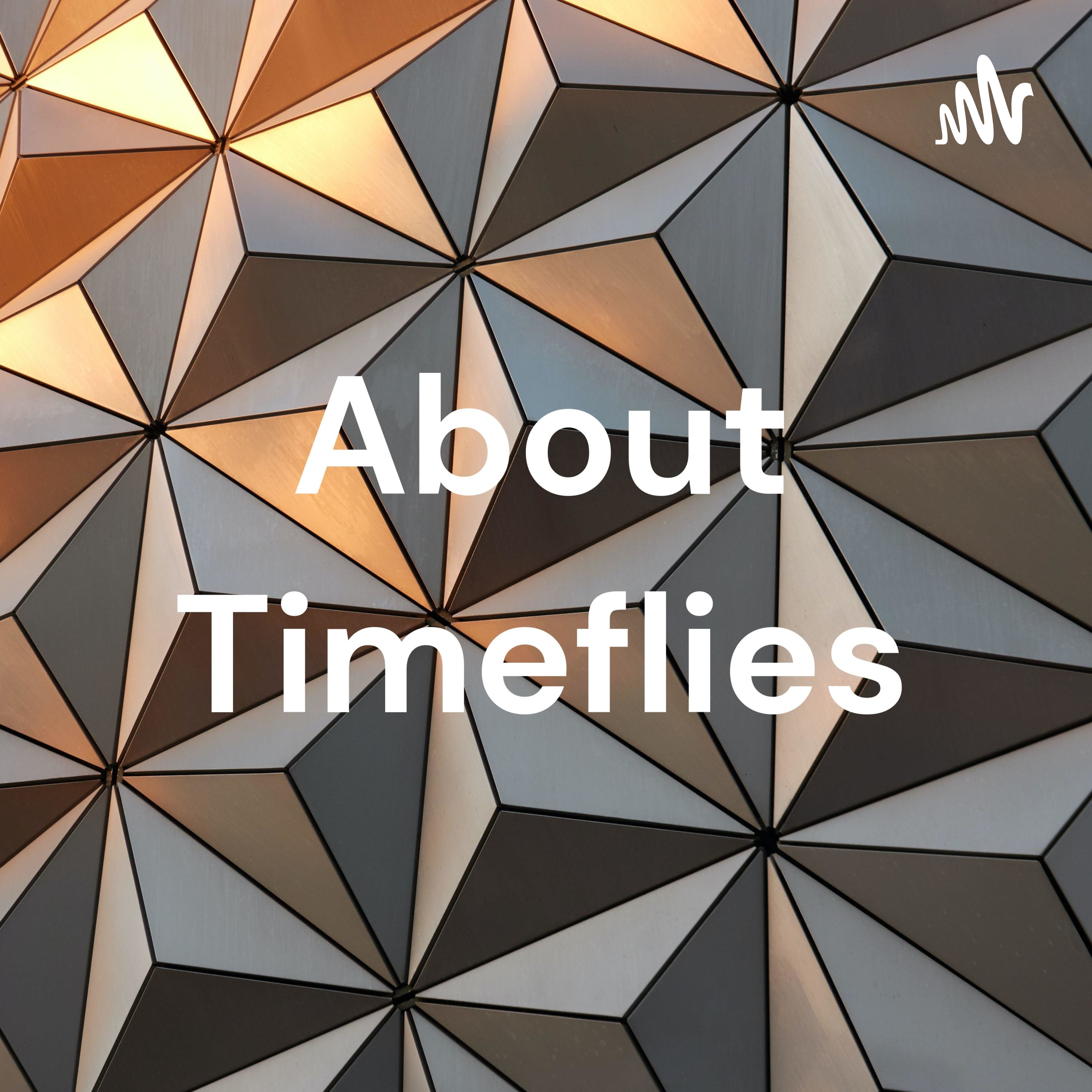 About Timeflies About Timeflies