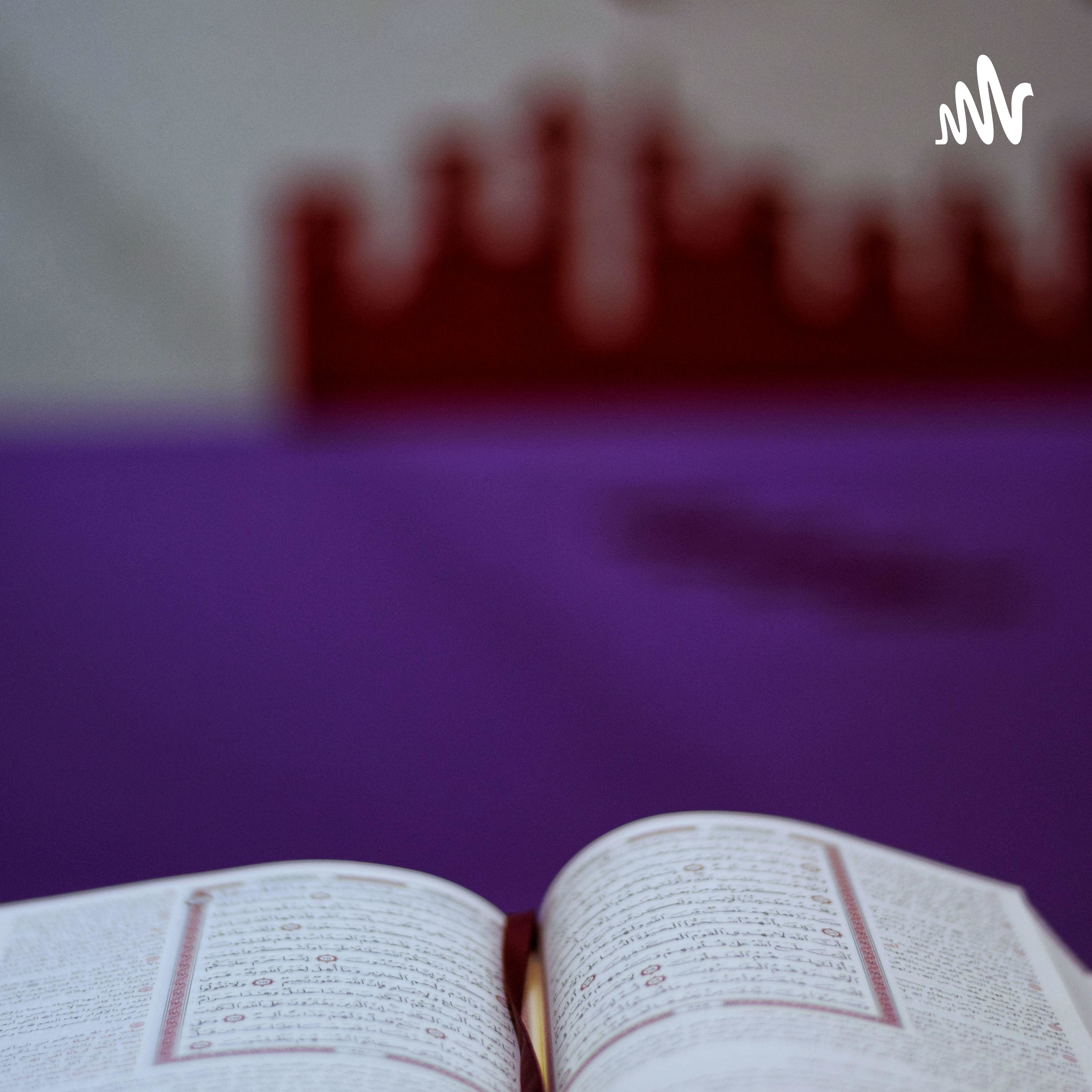 محمد زكي cover art