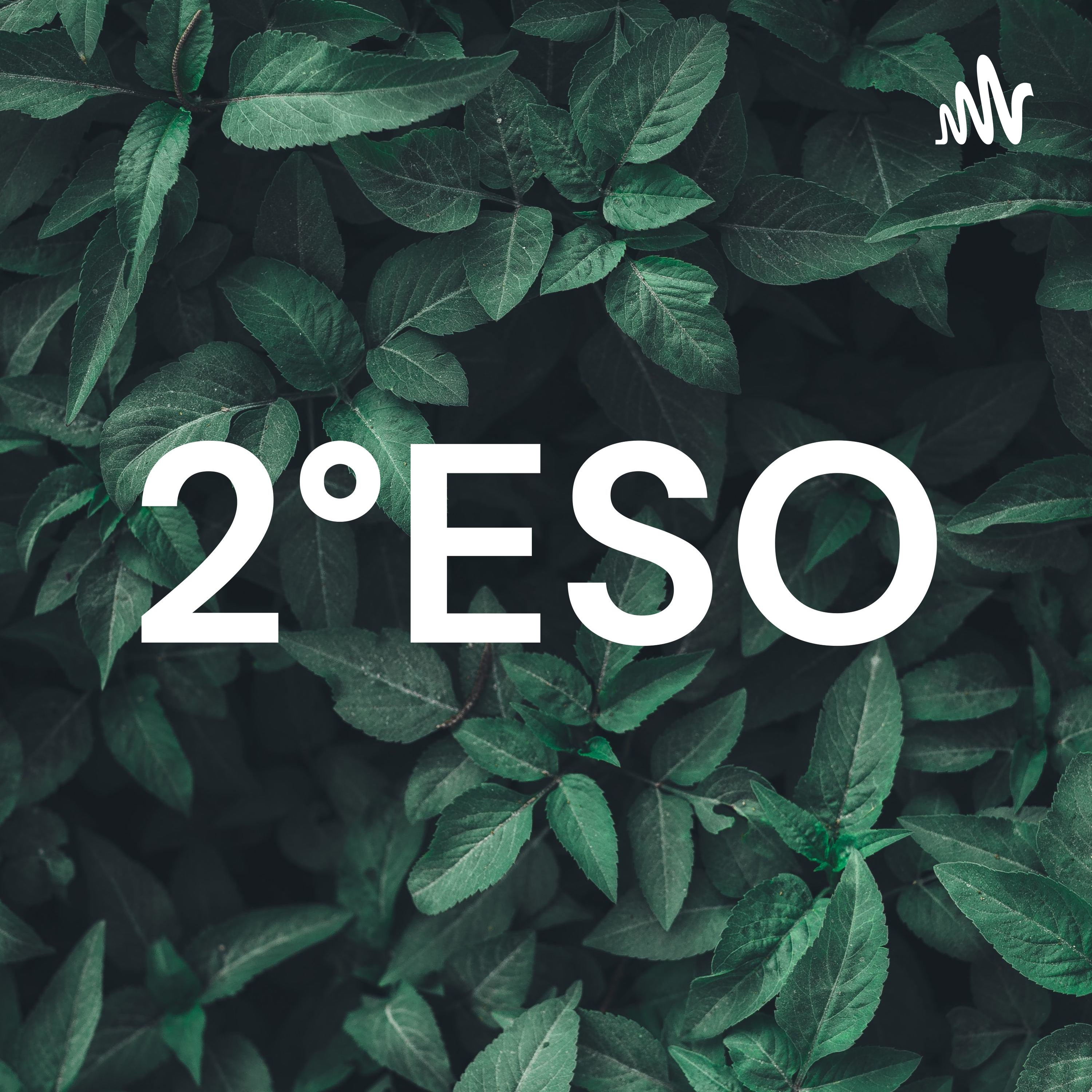 2°ESO cover art