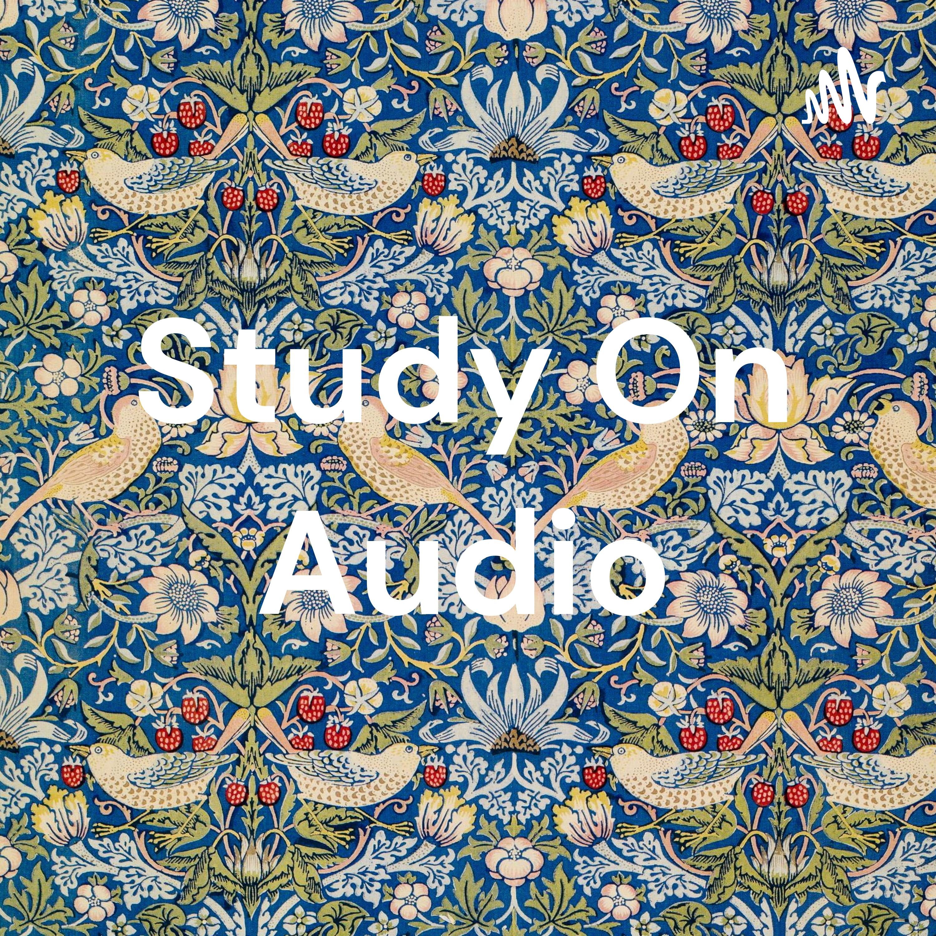 Study On Audio cover art