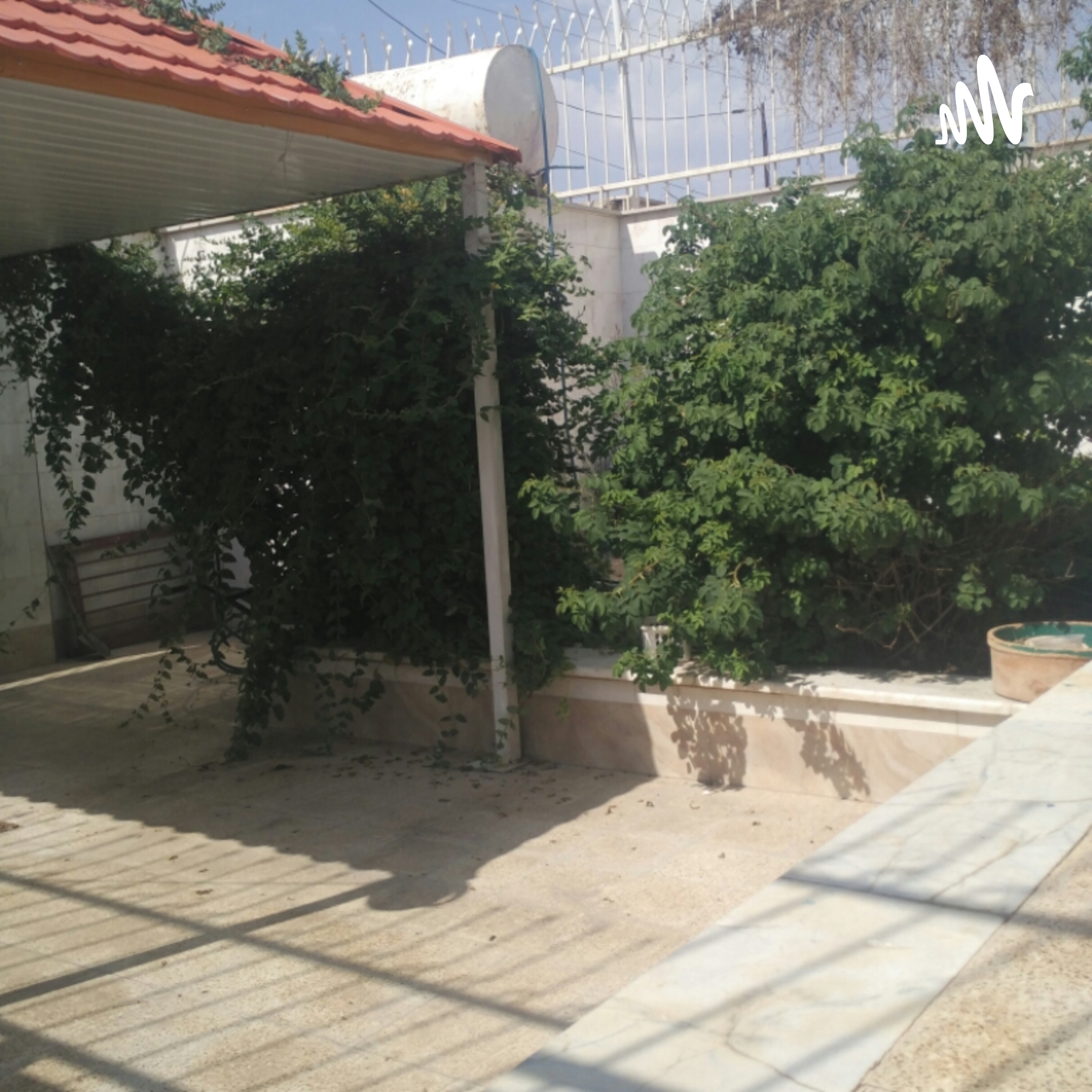 یرللل cover art