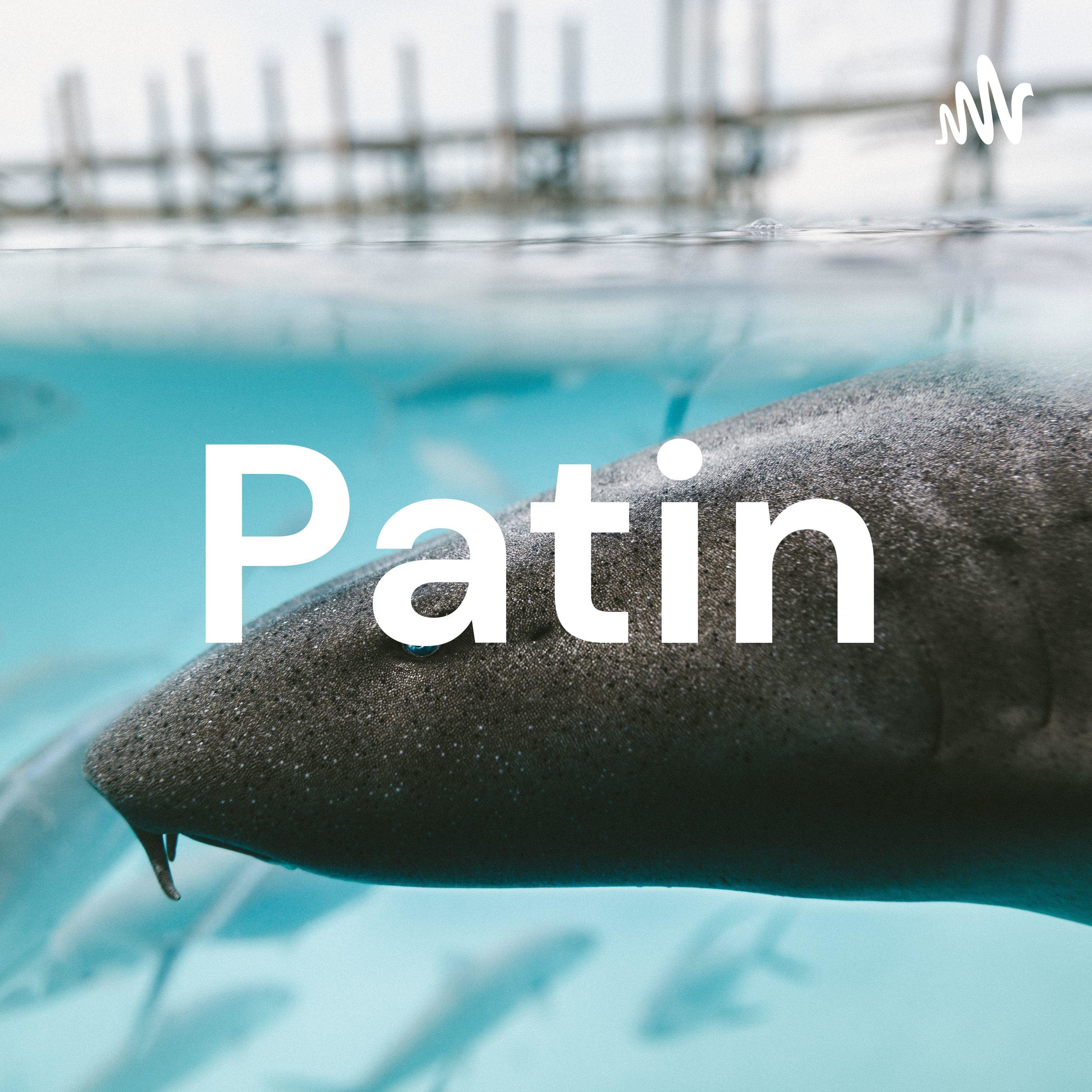 Patin Sabu Sabu Patin Sabu Sabu