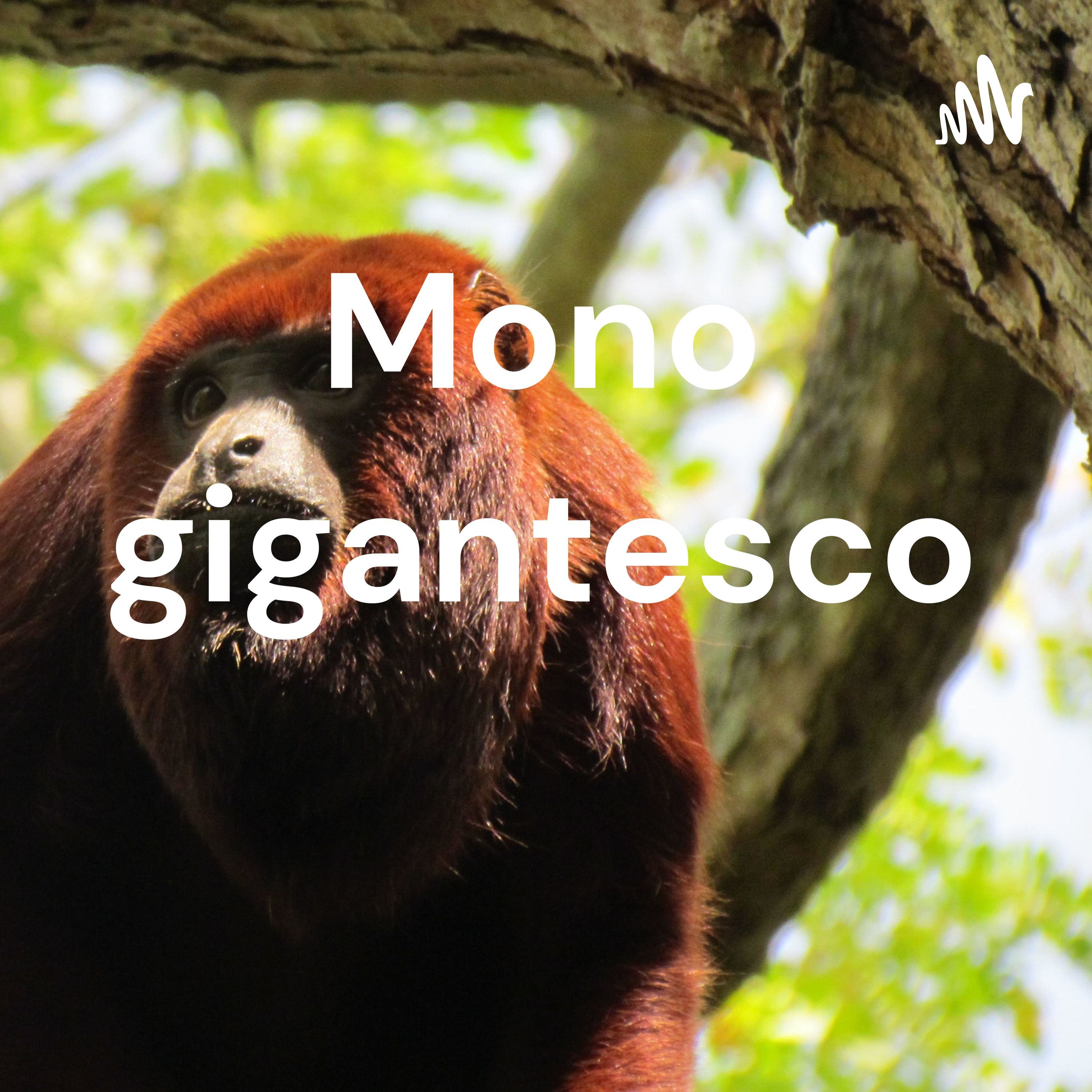 Mono gigantesco 