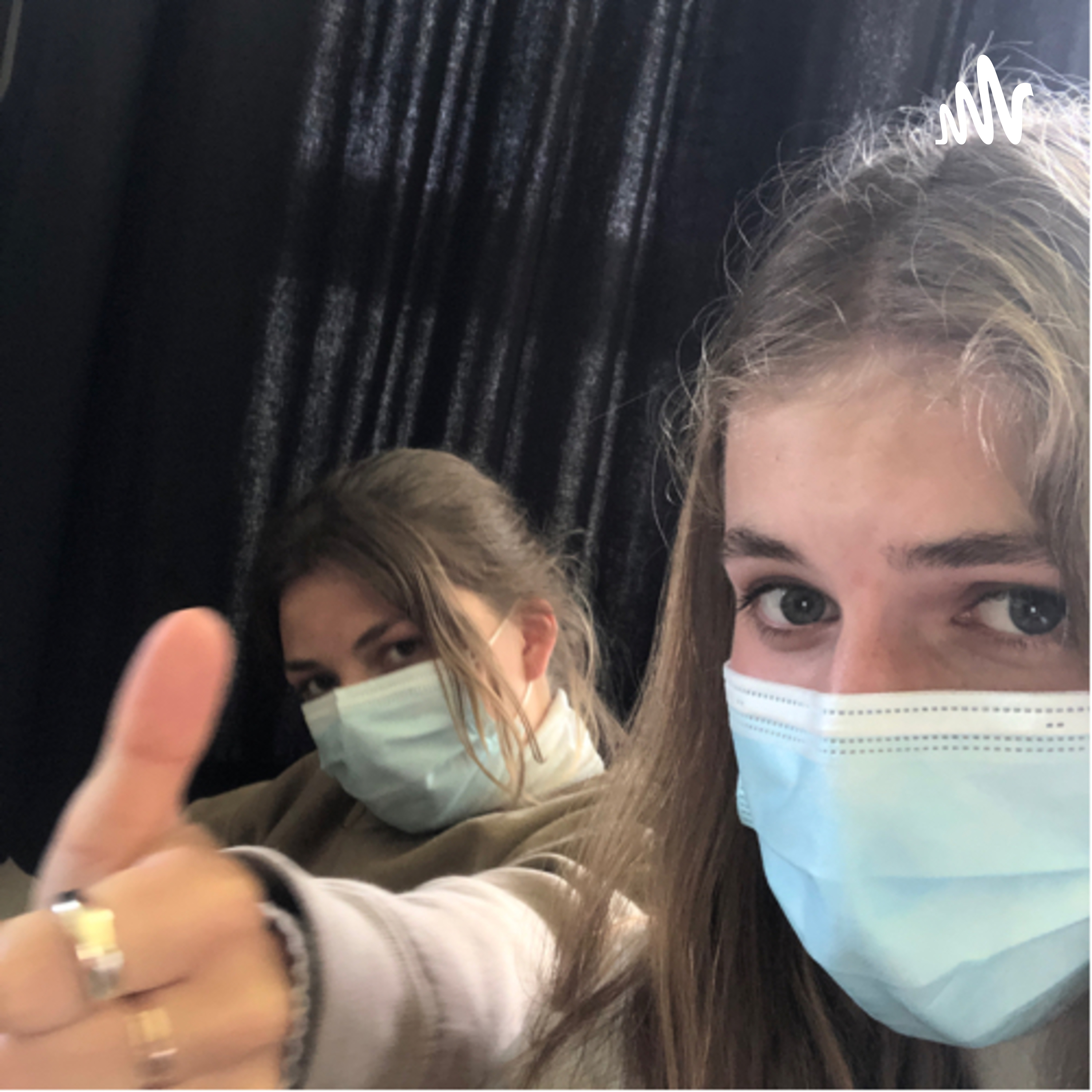 De Babbelende Boekendames cover art