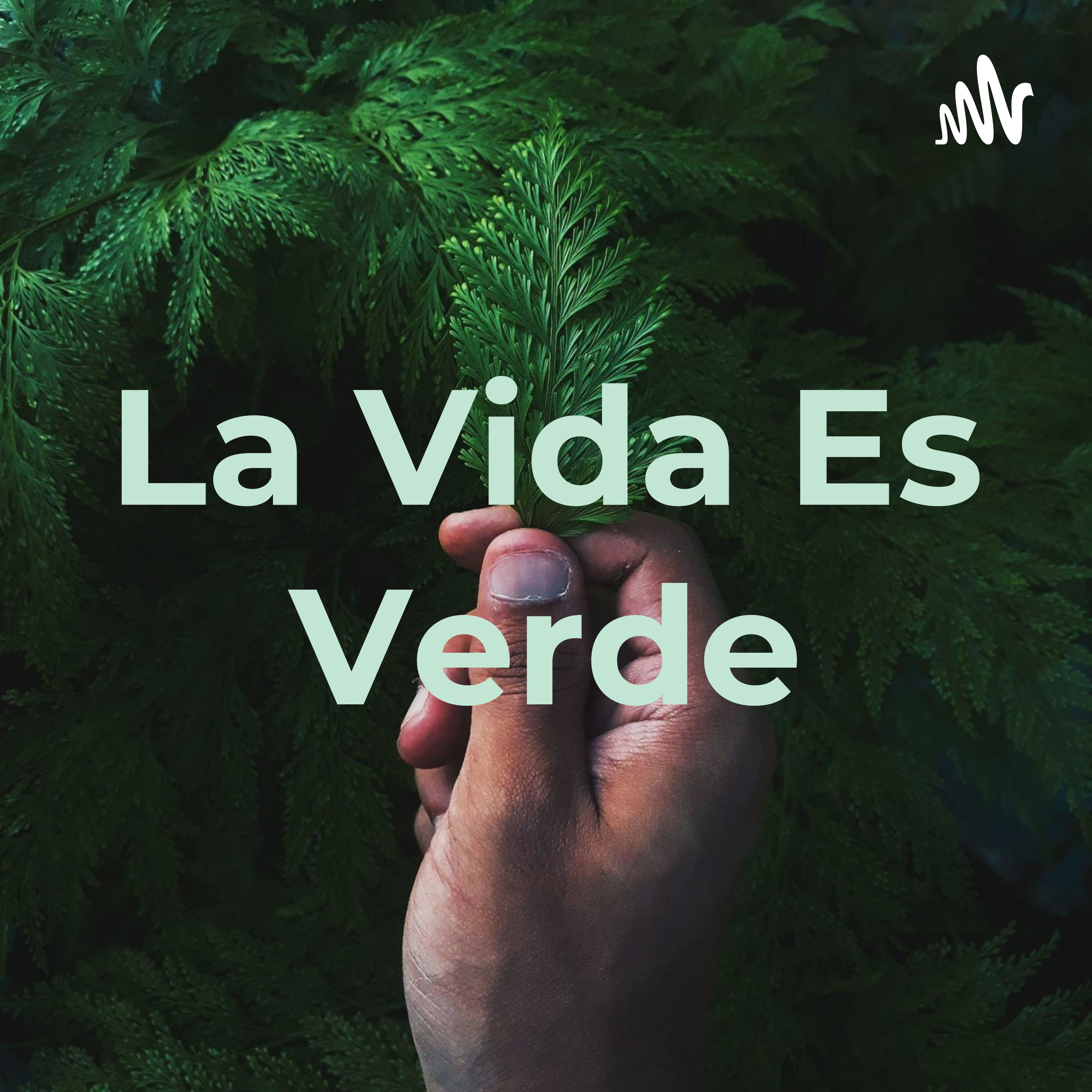 La Vida Es Verde