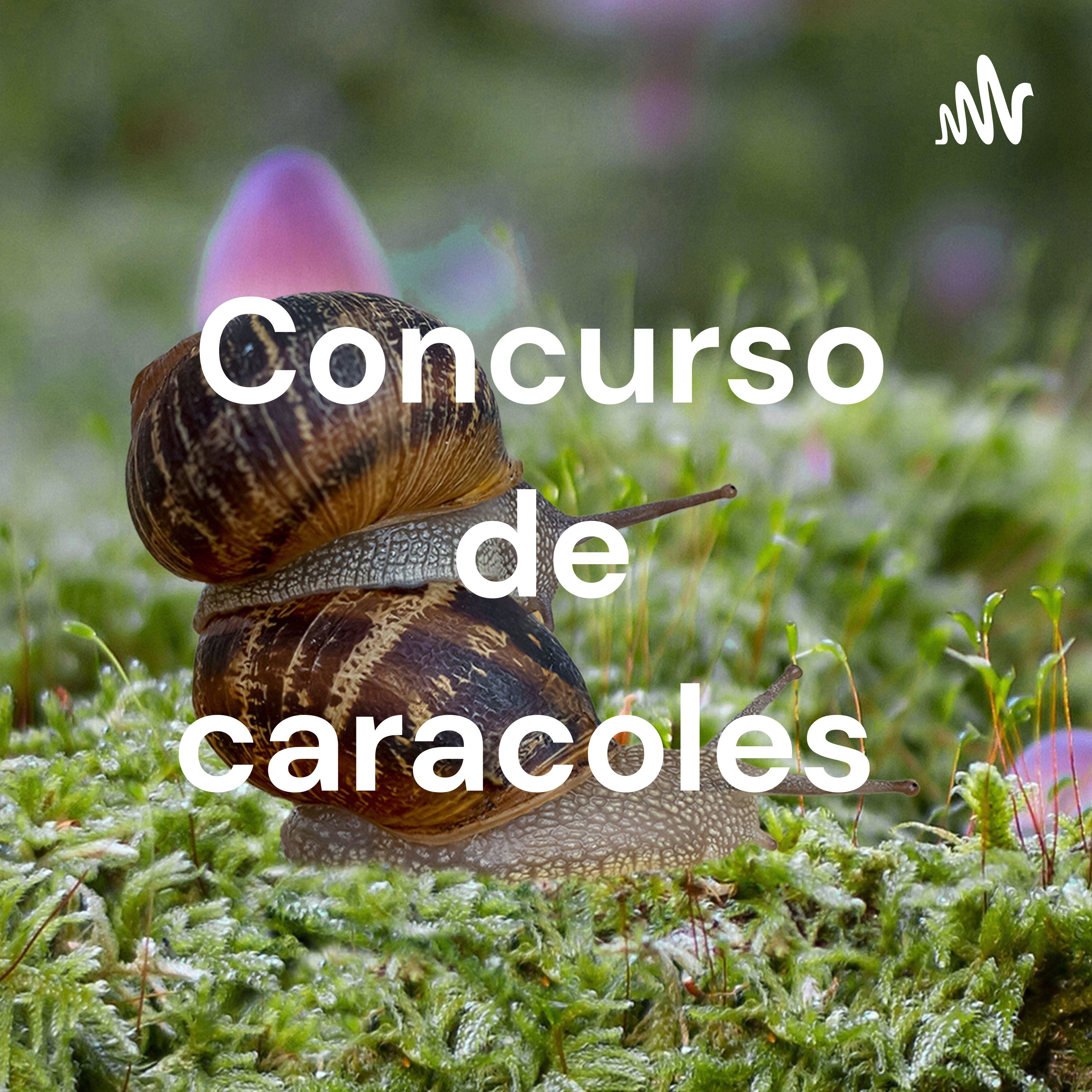 Concurso de caracoles