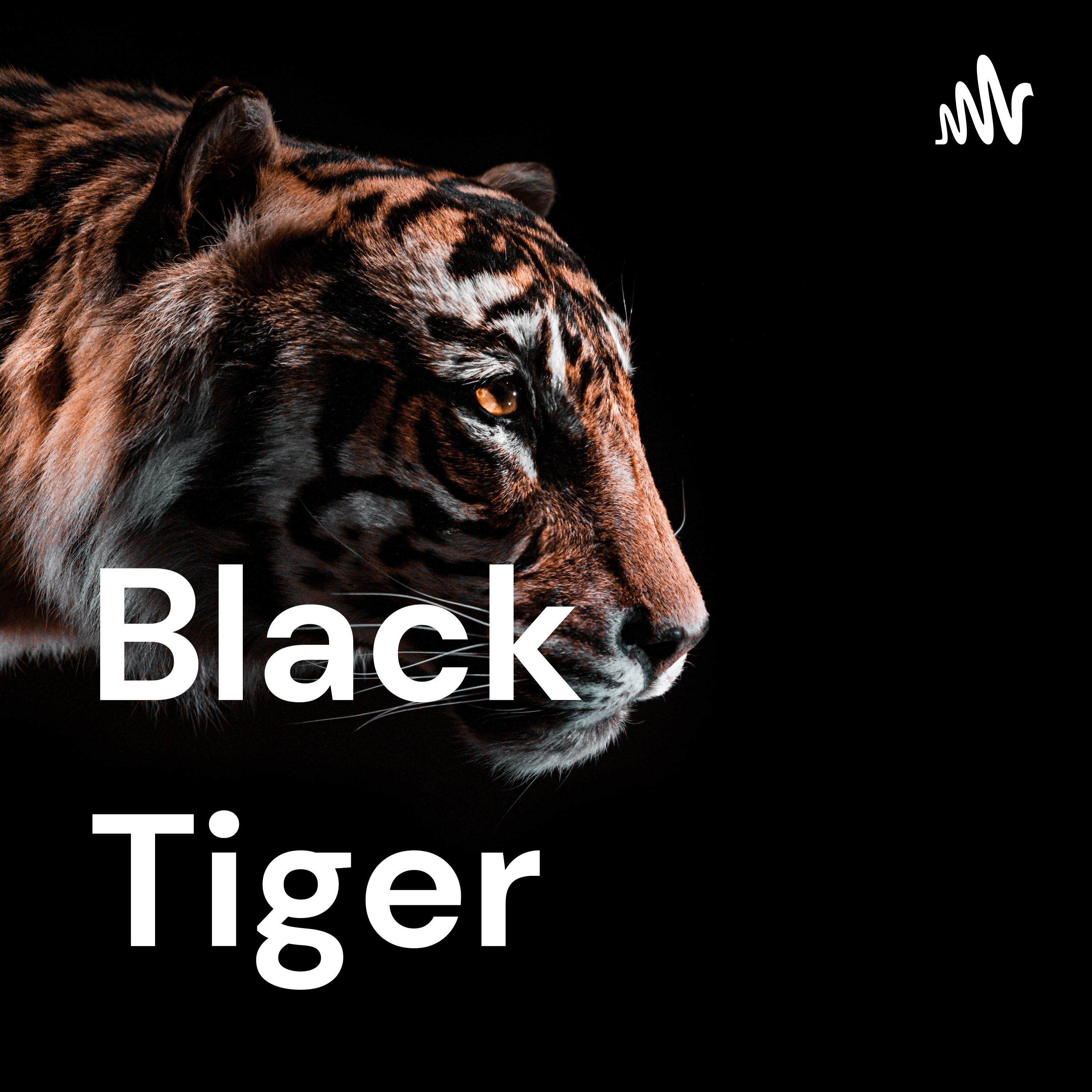 Black Tiger Black Tiger