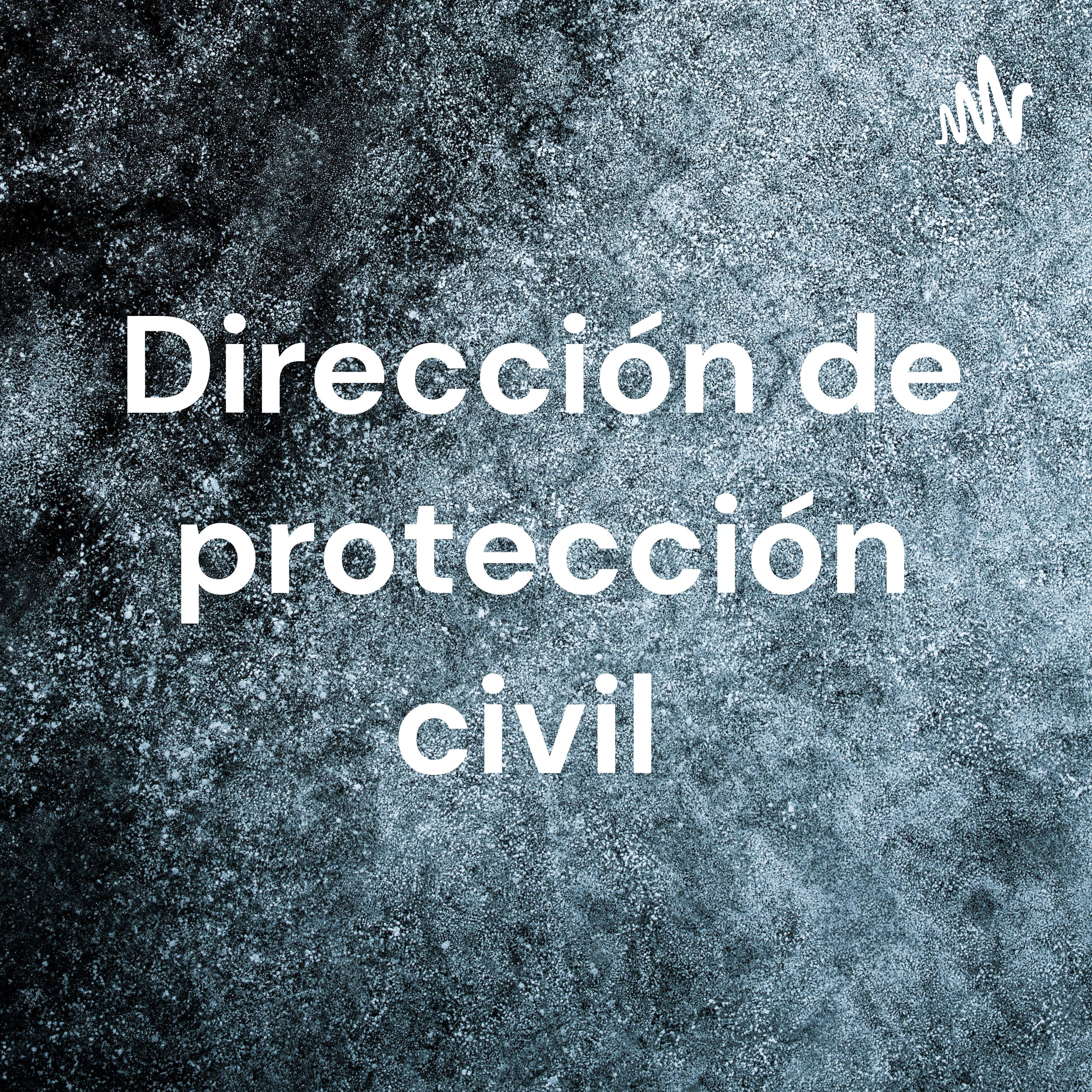Dirección de protección civil cover art