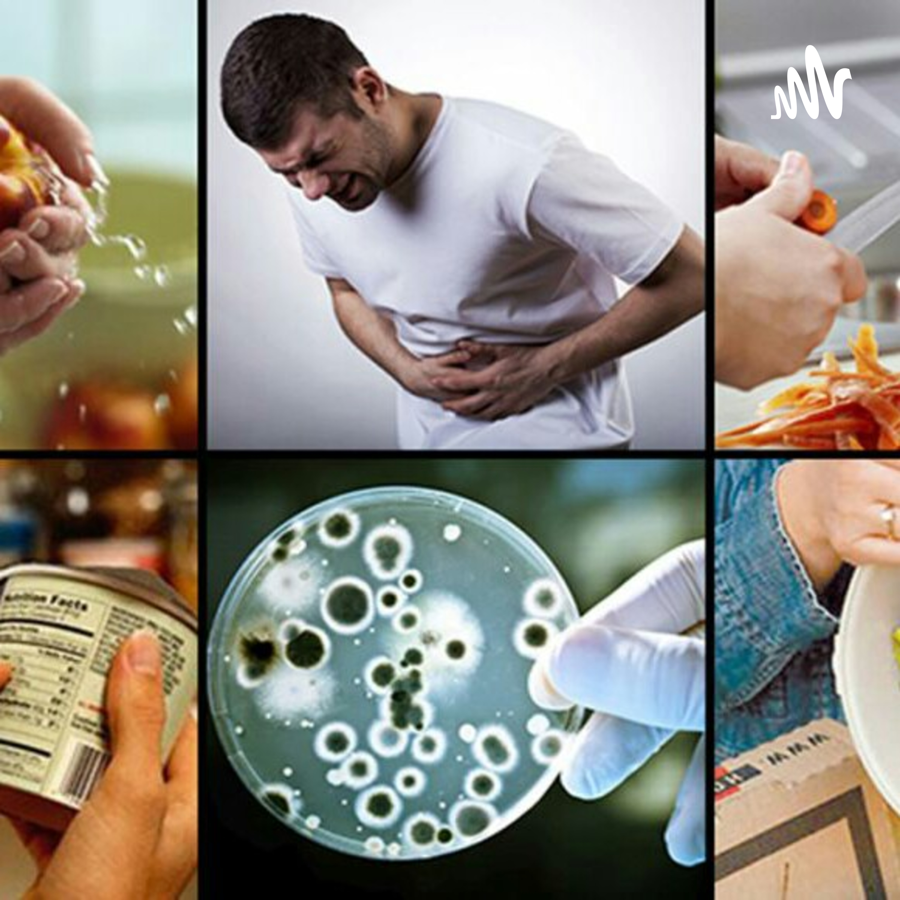 Enfermedades Ocasionadas Por Comer Productos Cárnicos Contaminados