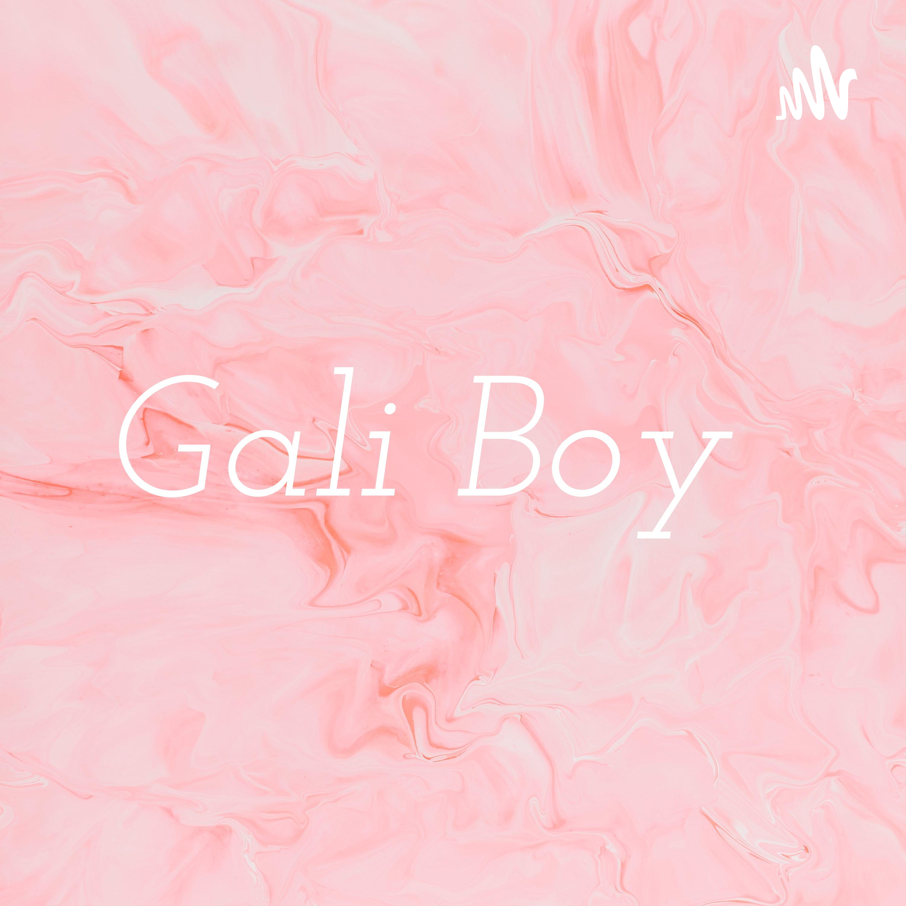 Gali Boy cover art