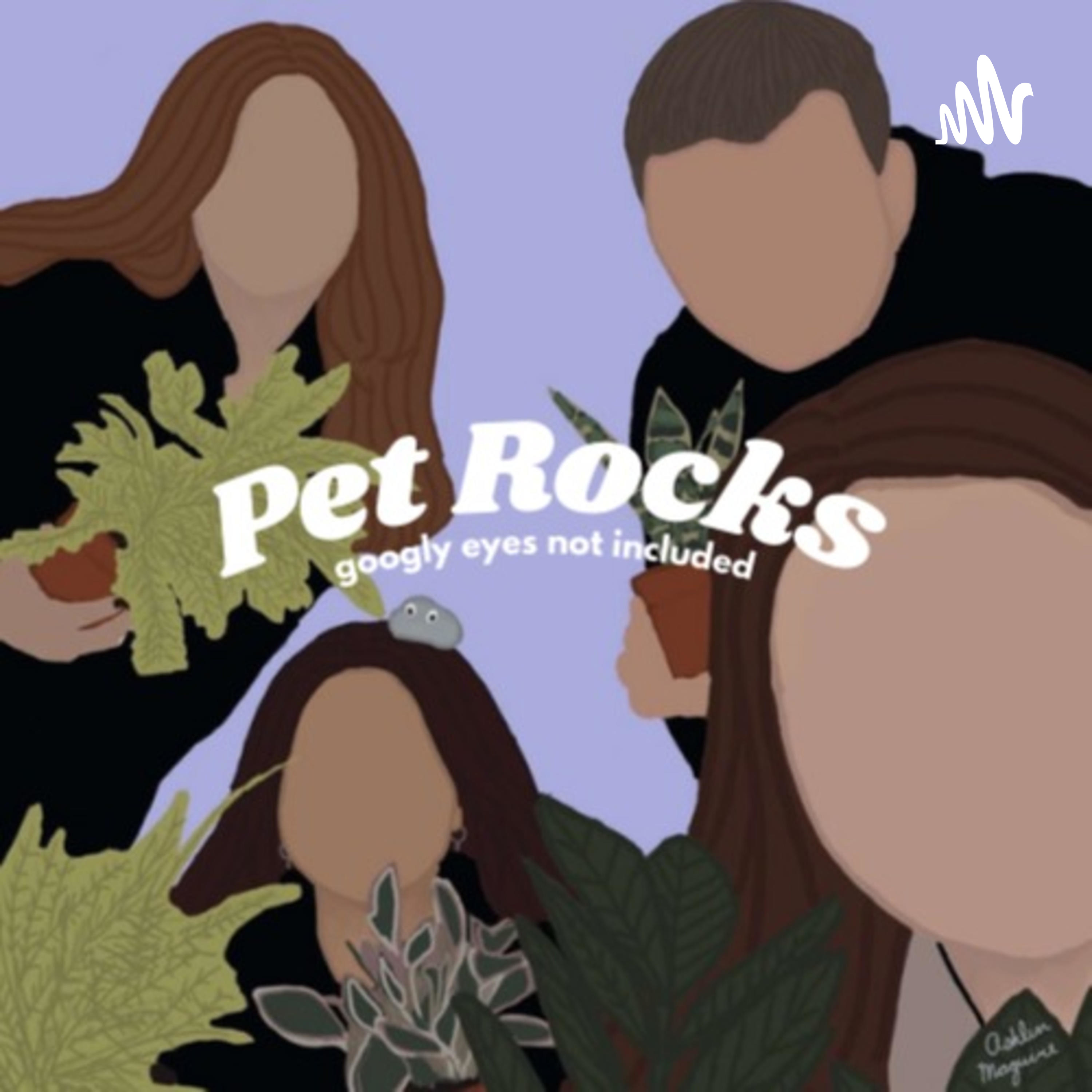Pet Rocks Podcast podcast artwork