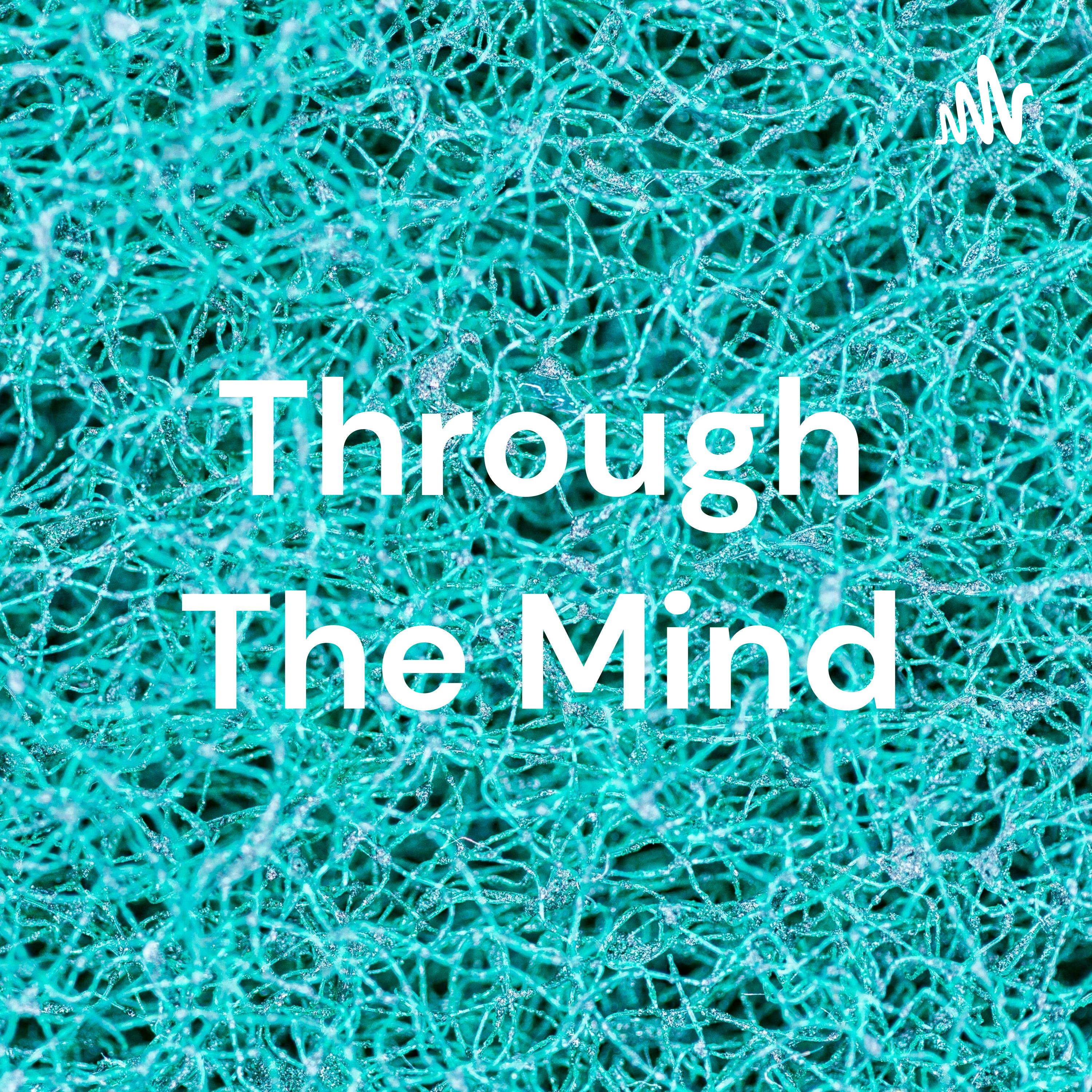 Through The Mind cover art