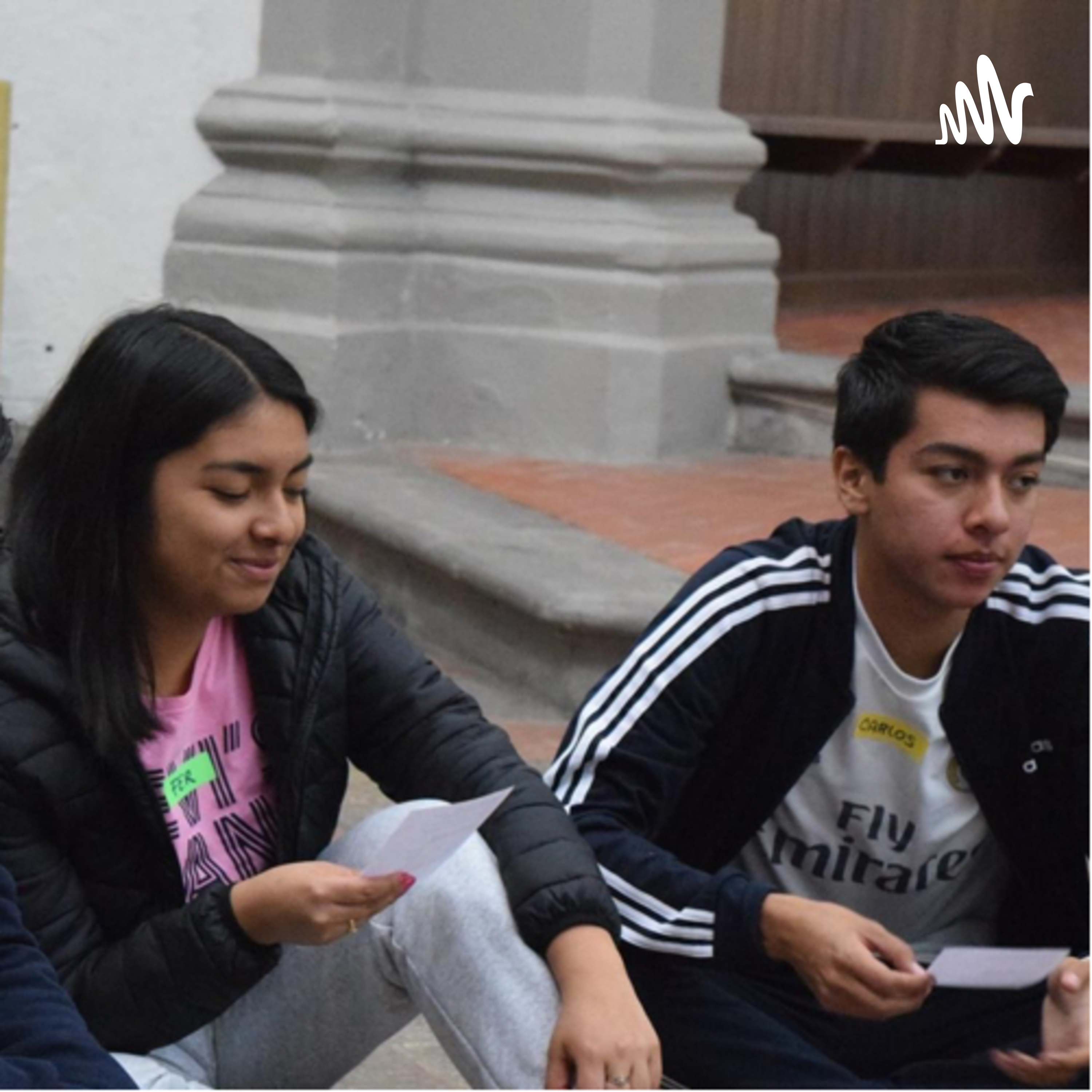 Leyendo entendiendo. cover art