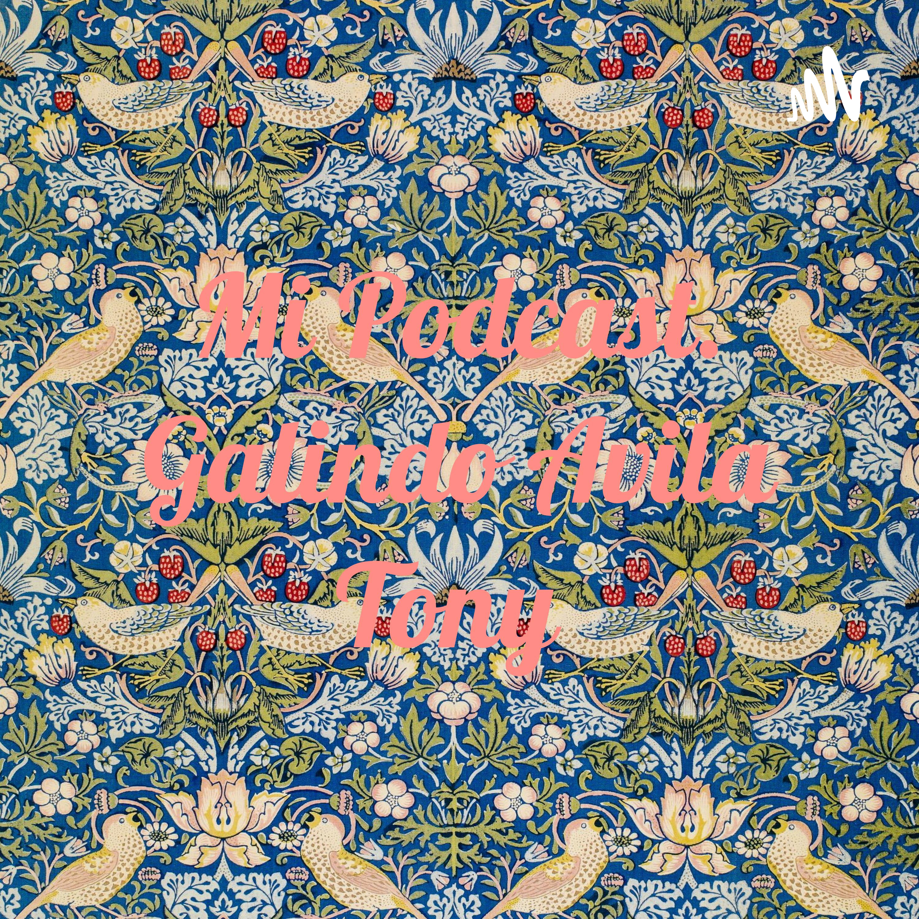 Mi Podcast. Galindo Avila Tony cover art