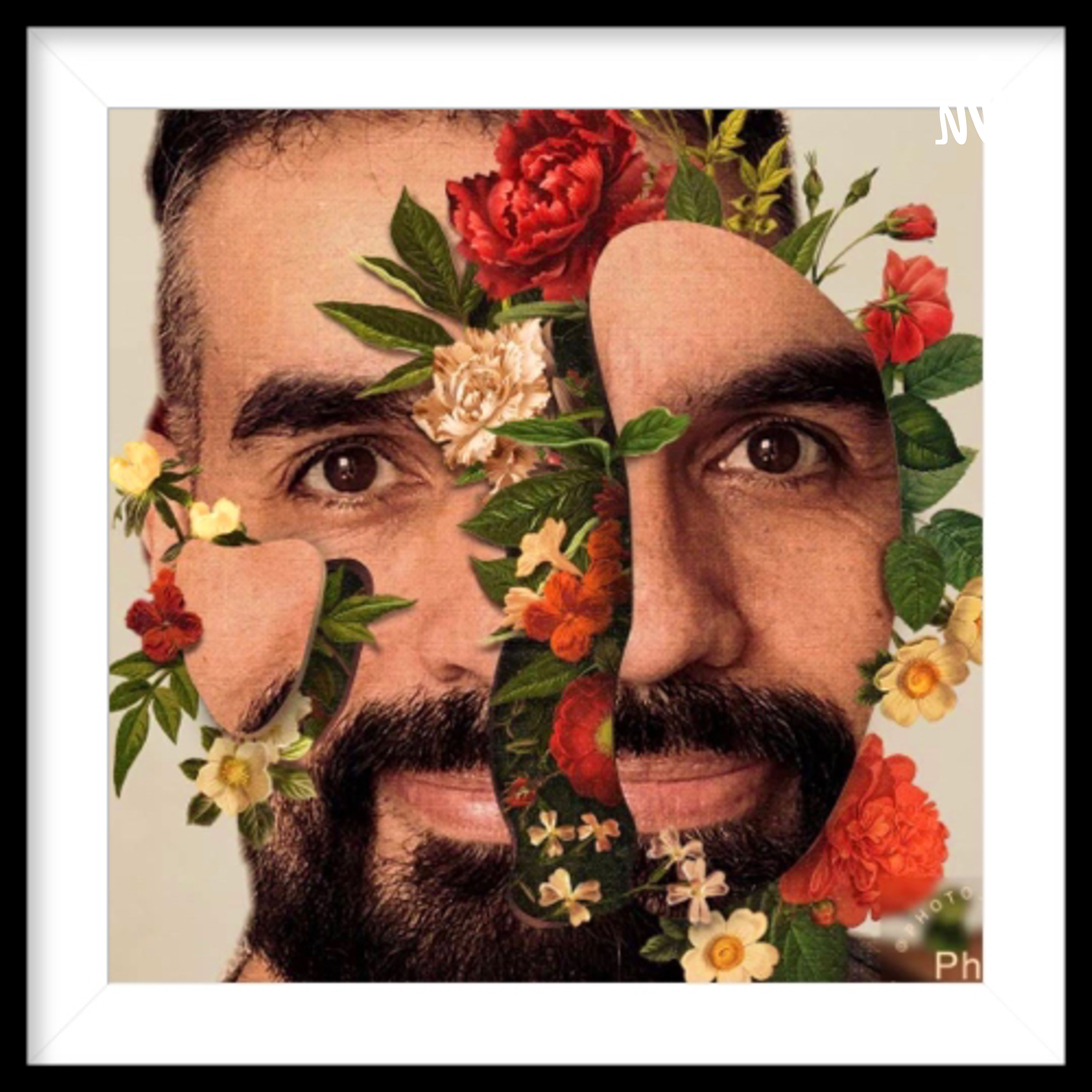 Viver é Arte Gil Silva