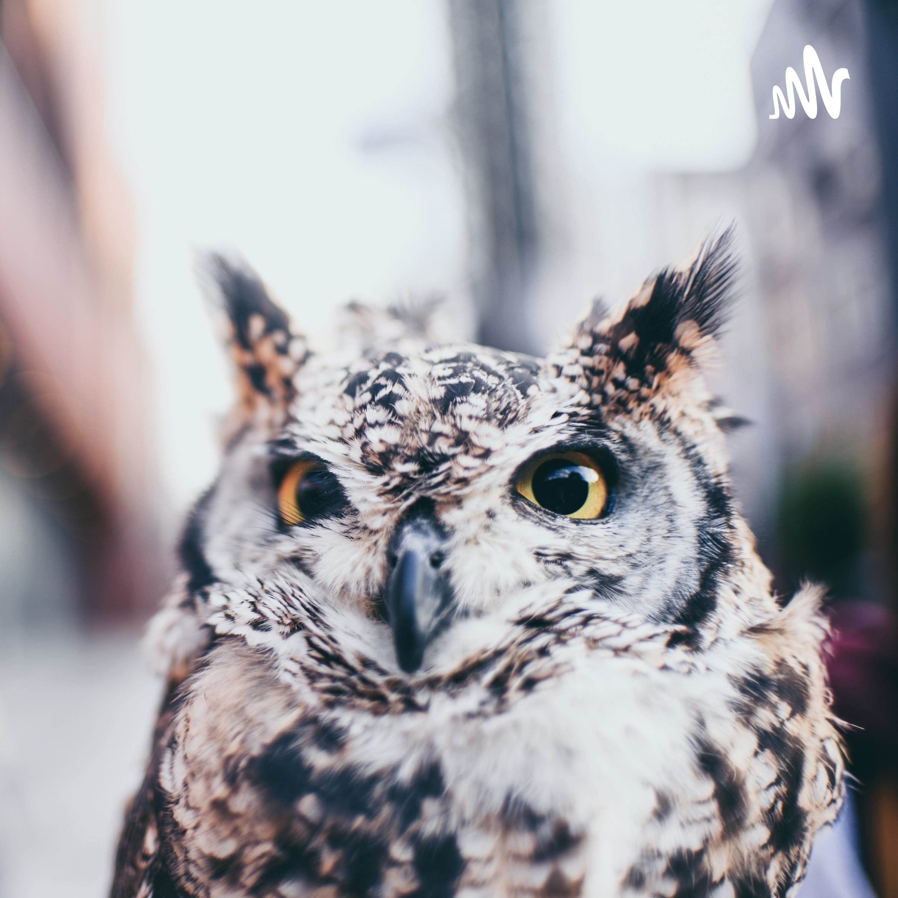 Ms Winnie’s cover art