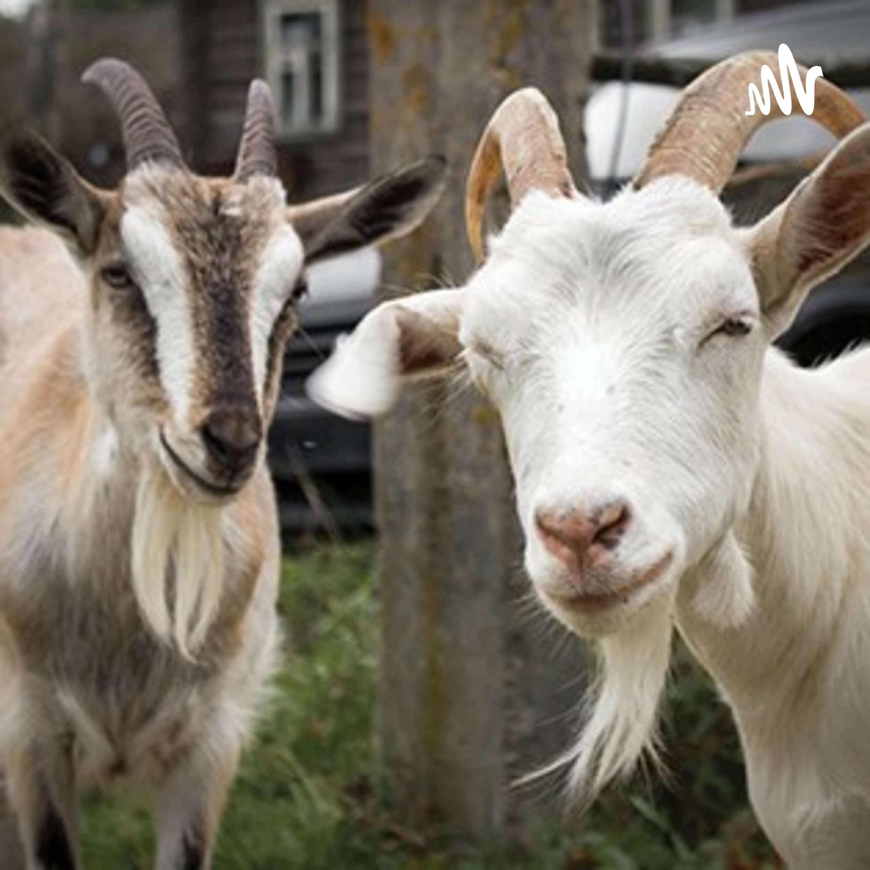 The Beat Players In The World