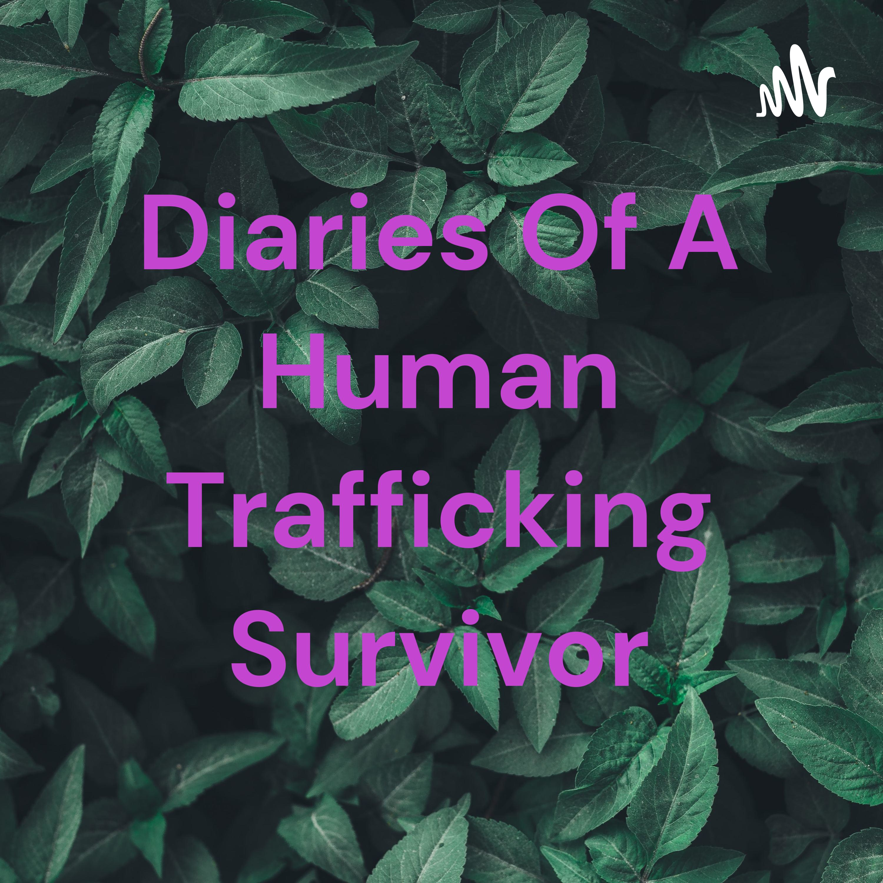Diaries Of A Human Trafficking Survivor cover art