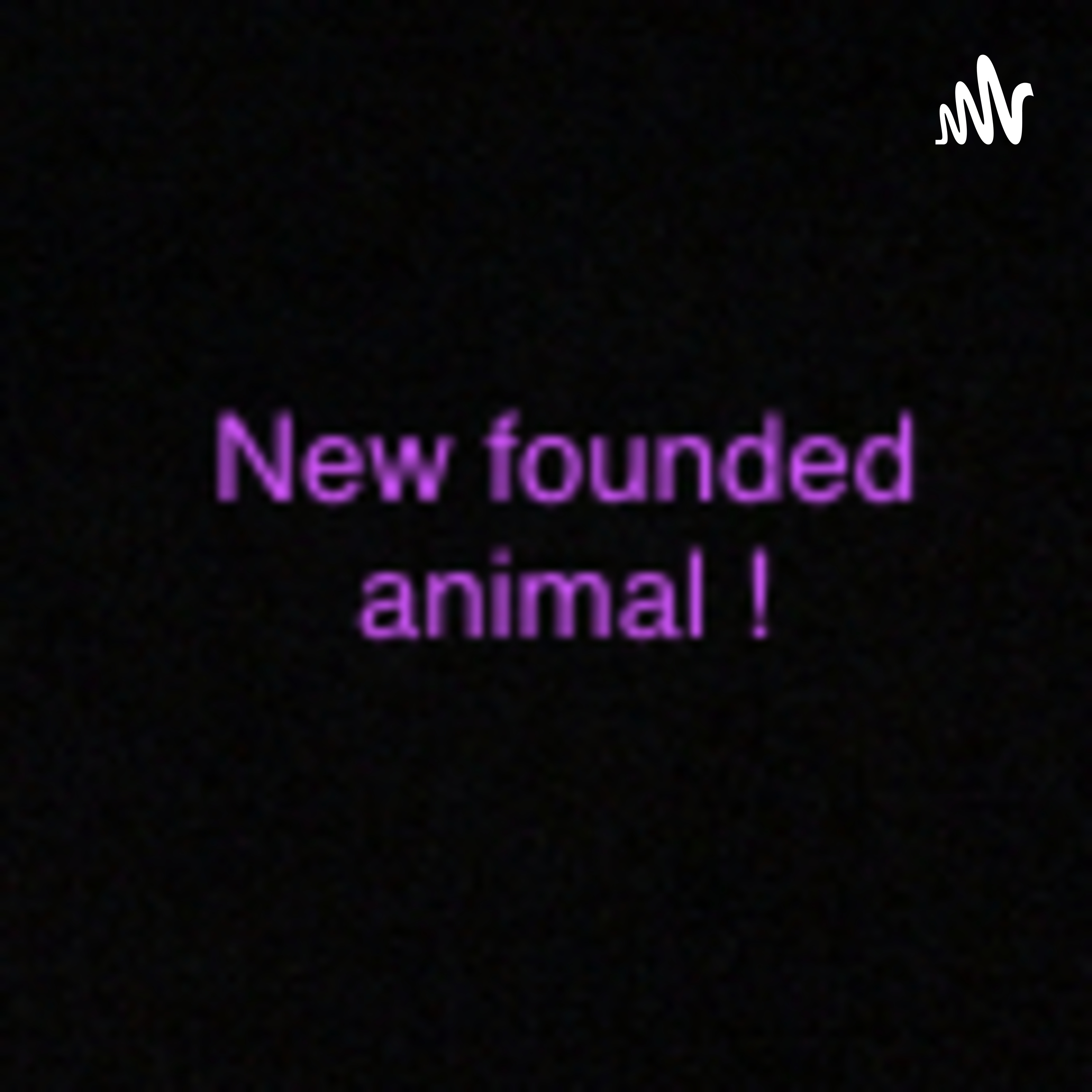 All about animals 