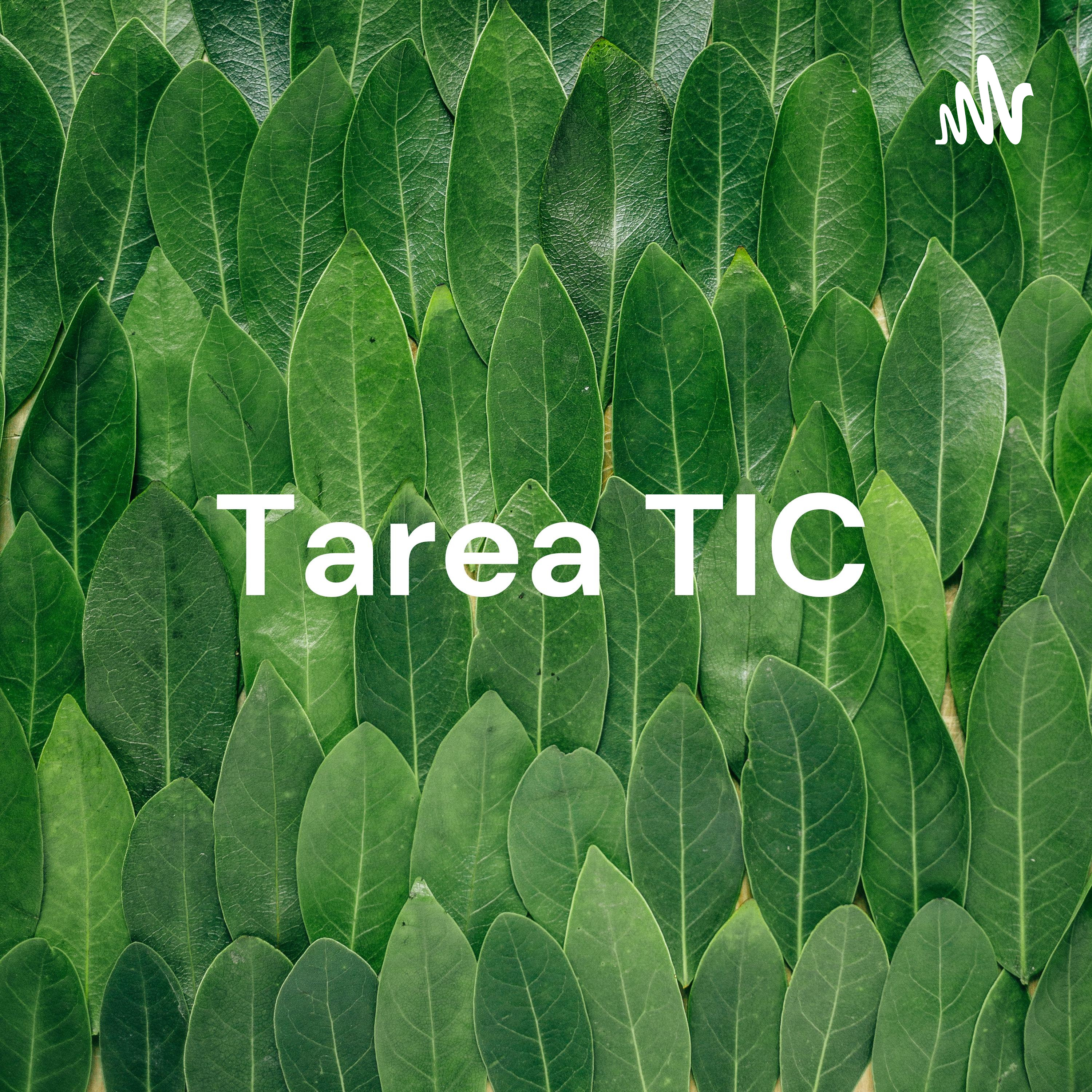 Tarea TIC - NATURE BEAUTY cover art