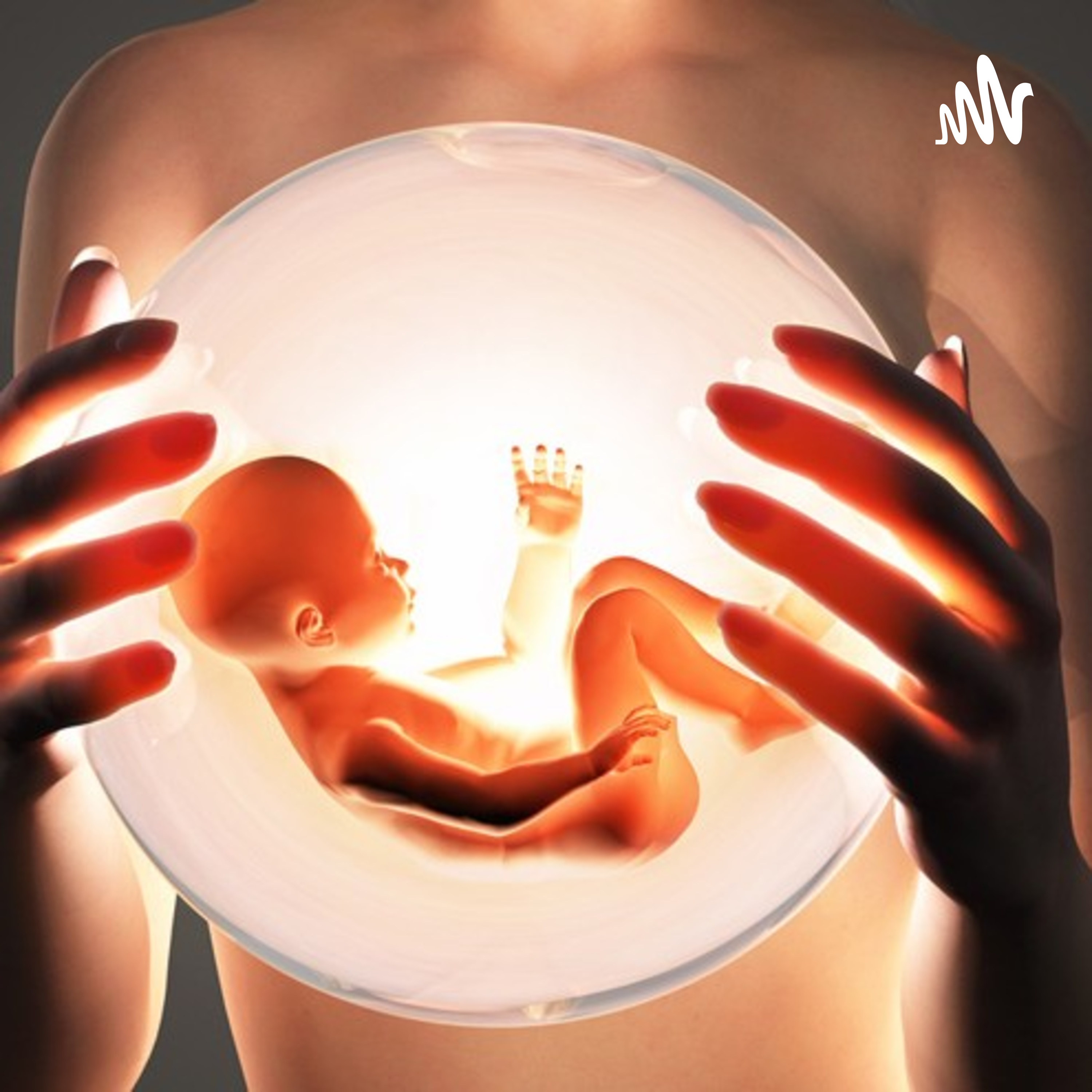 DESAROLLO HERMBRIONARIO DEL SER HUMANO cover art