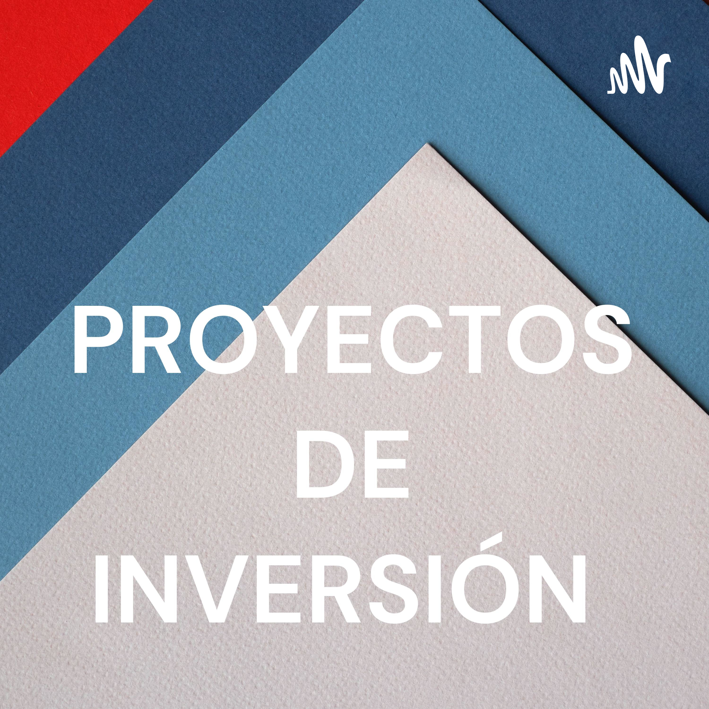 PROYECTOS DE INVERSIÓN