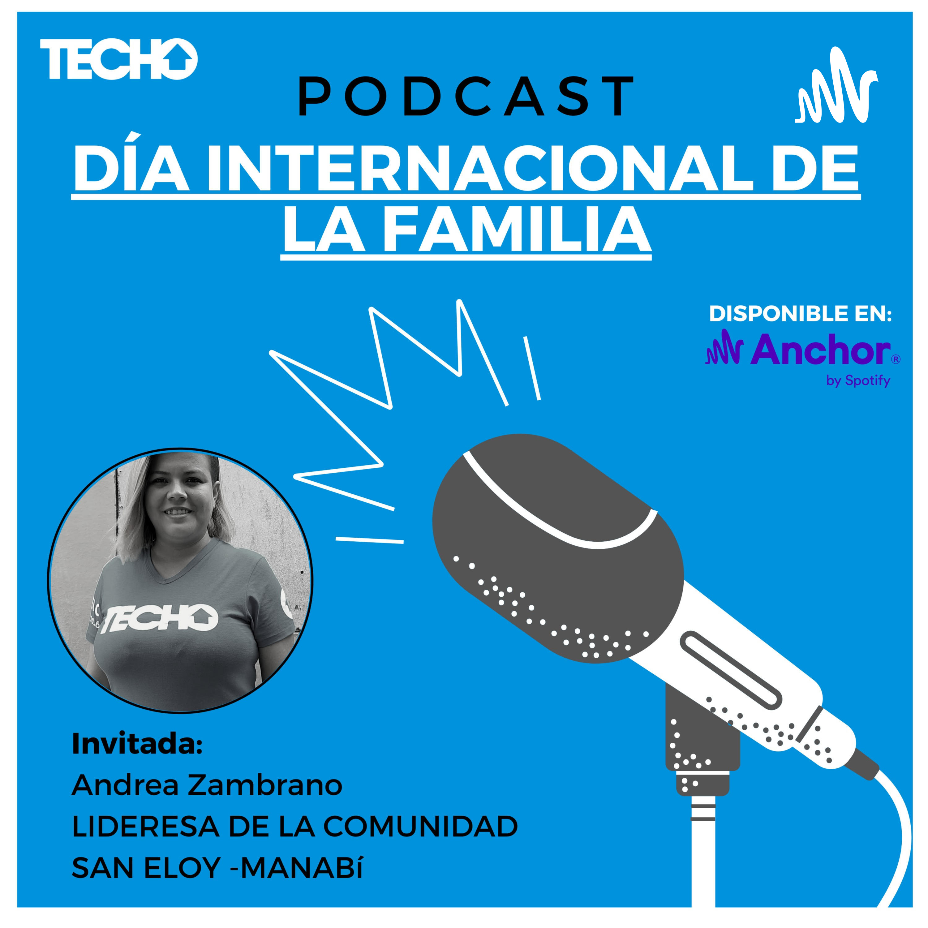Techo podcast: día de la familia cover art