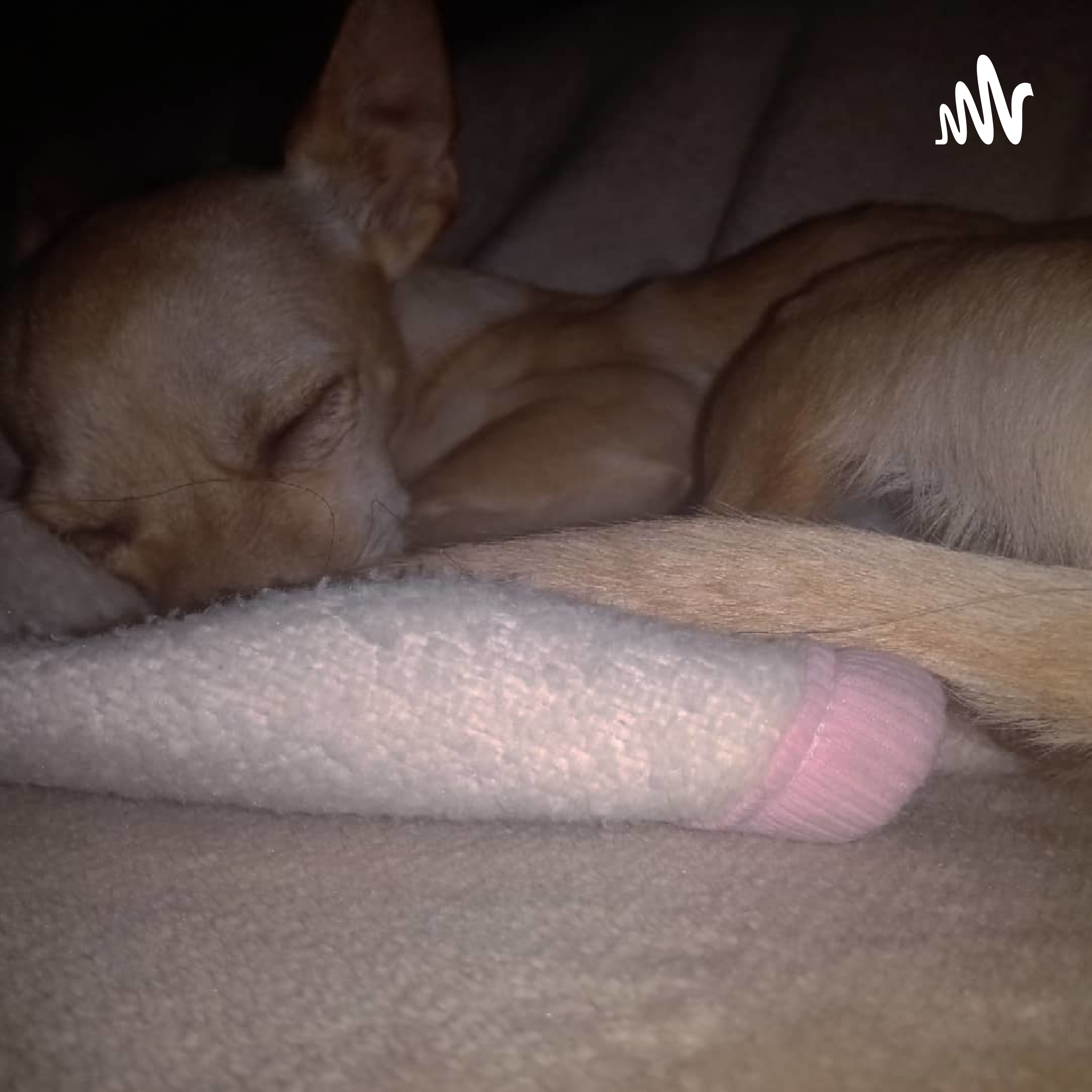 Sonidos De Mi Vida Diaria 