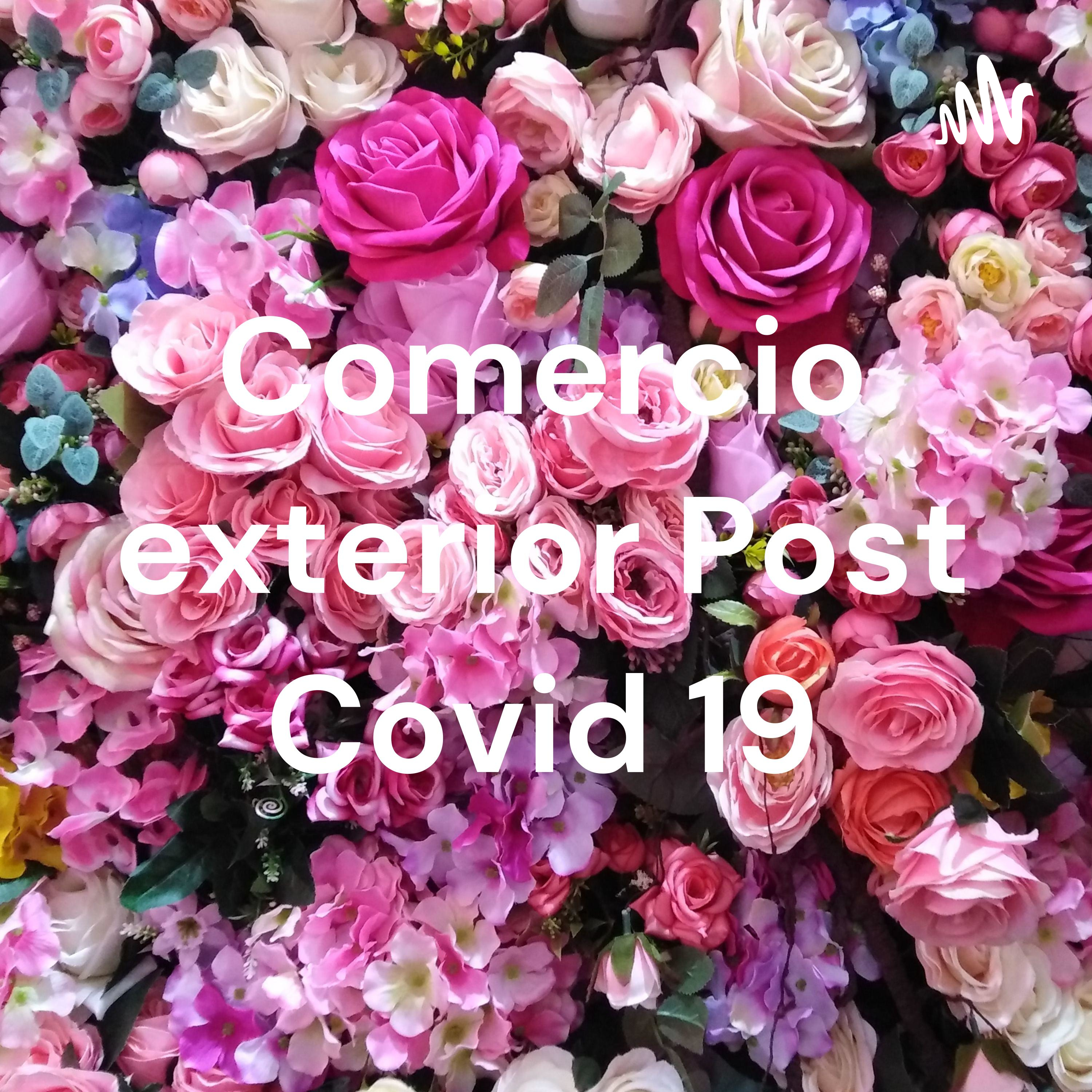 Comercio exterior Post Covid 19 cover art