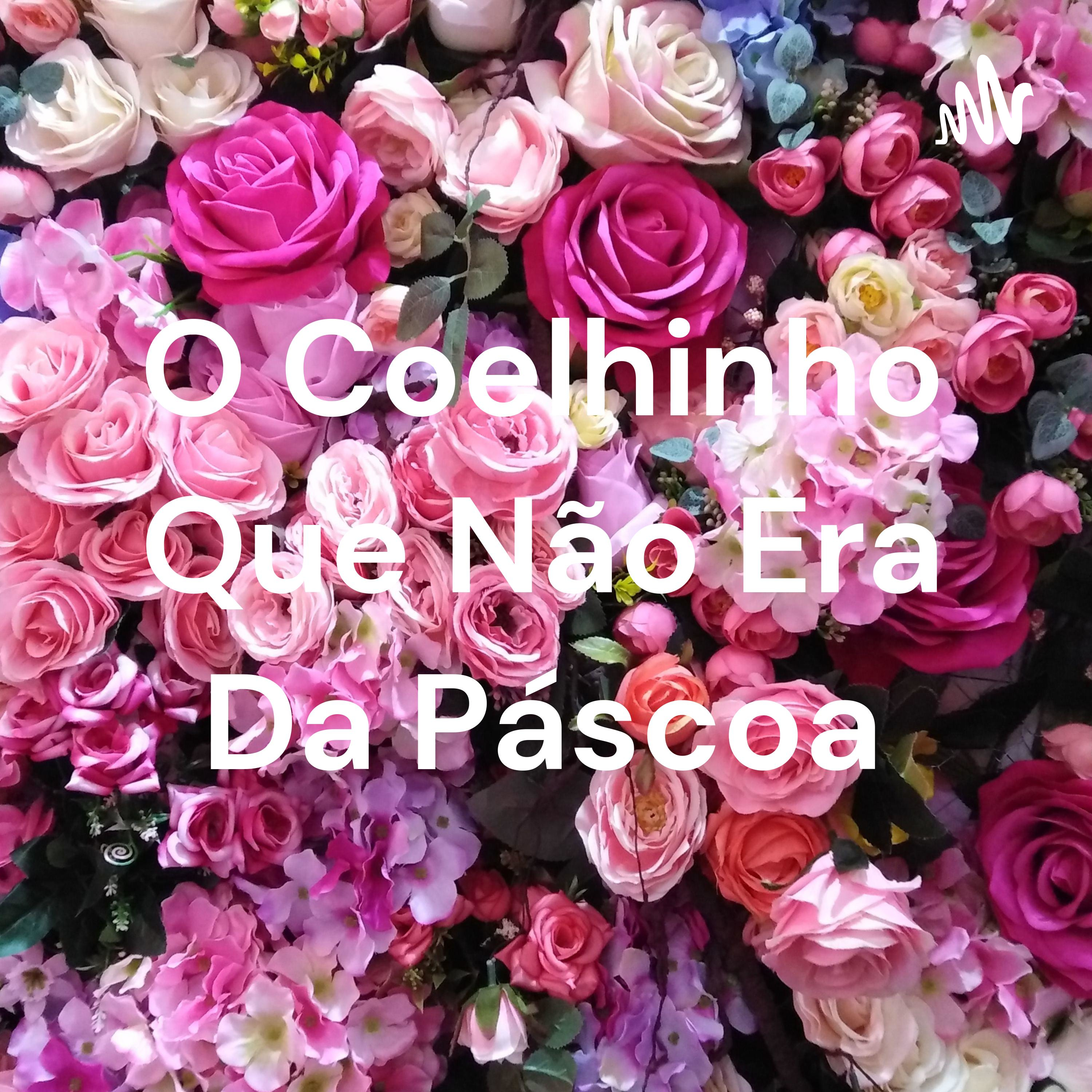 O Coelhinho Que Não Era Da Páscoa cover art