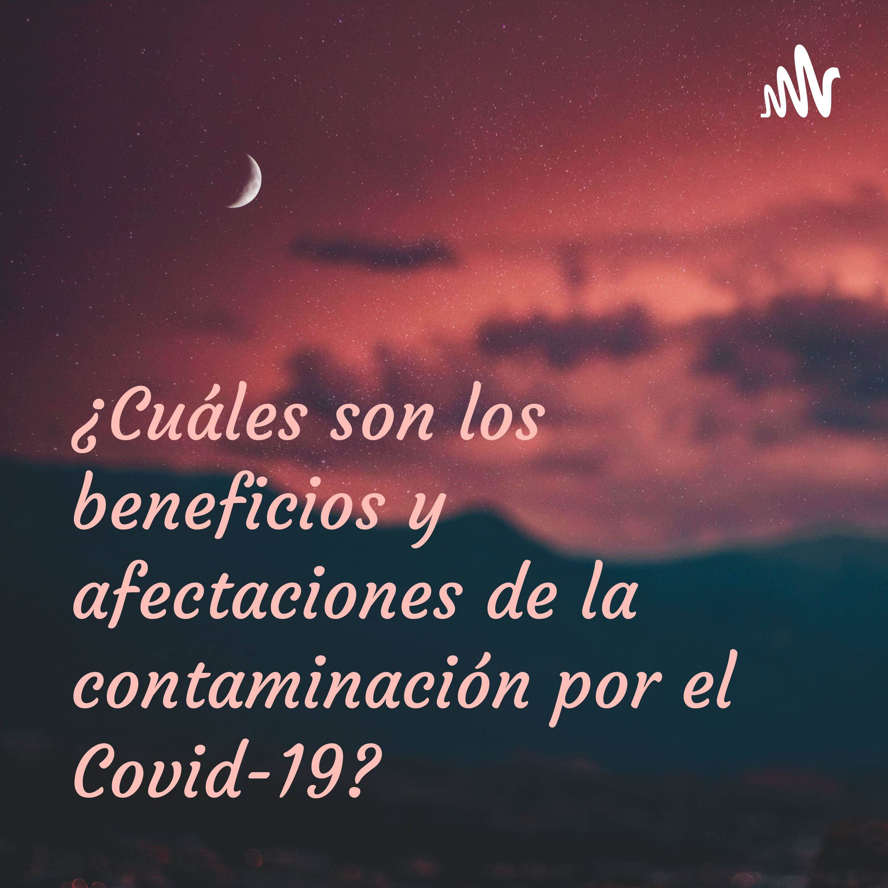 ¿Cuáles son los beneficios y afectaciones de la contaminación por el Covid-19?