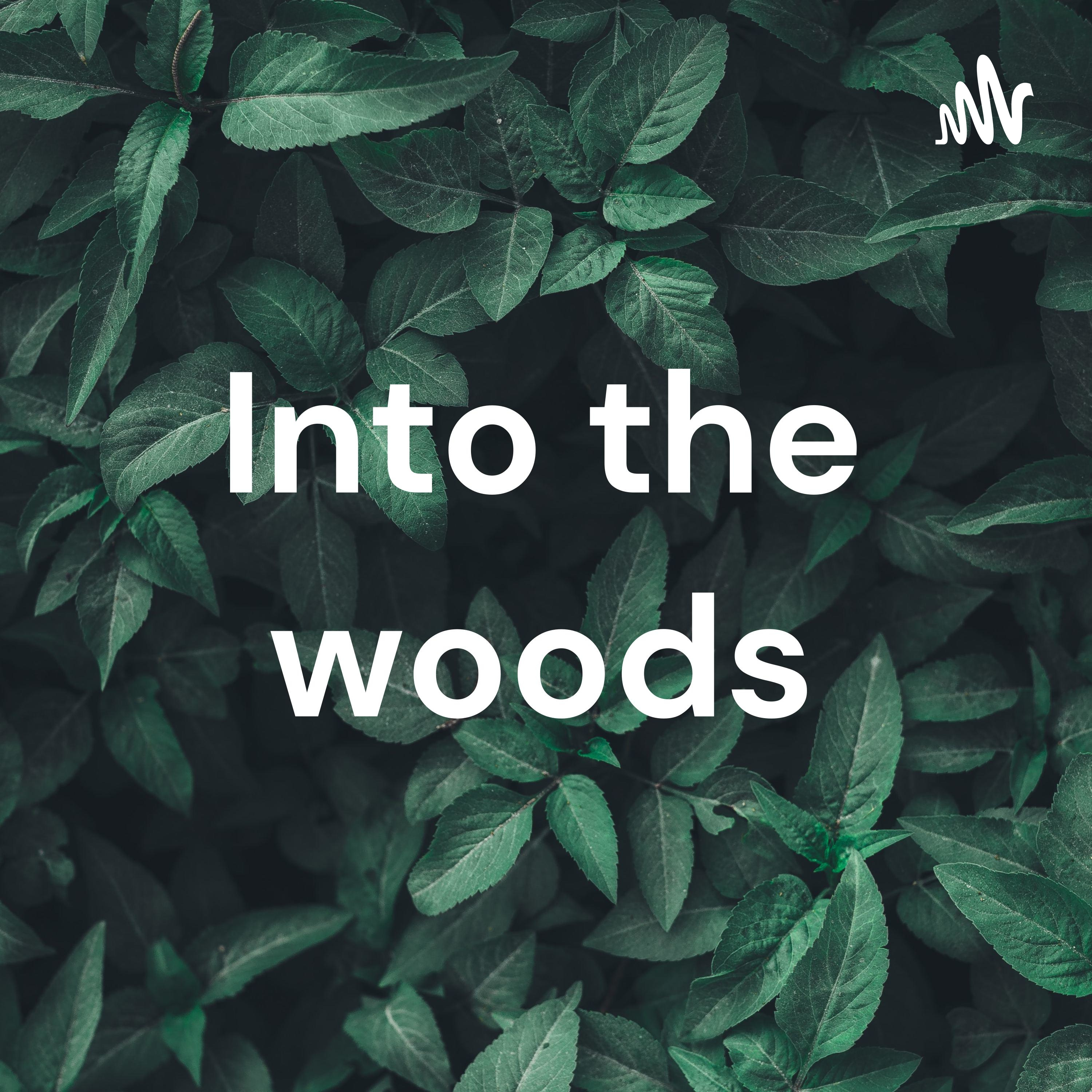 Into the woods cover art