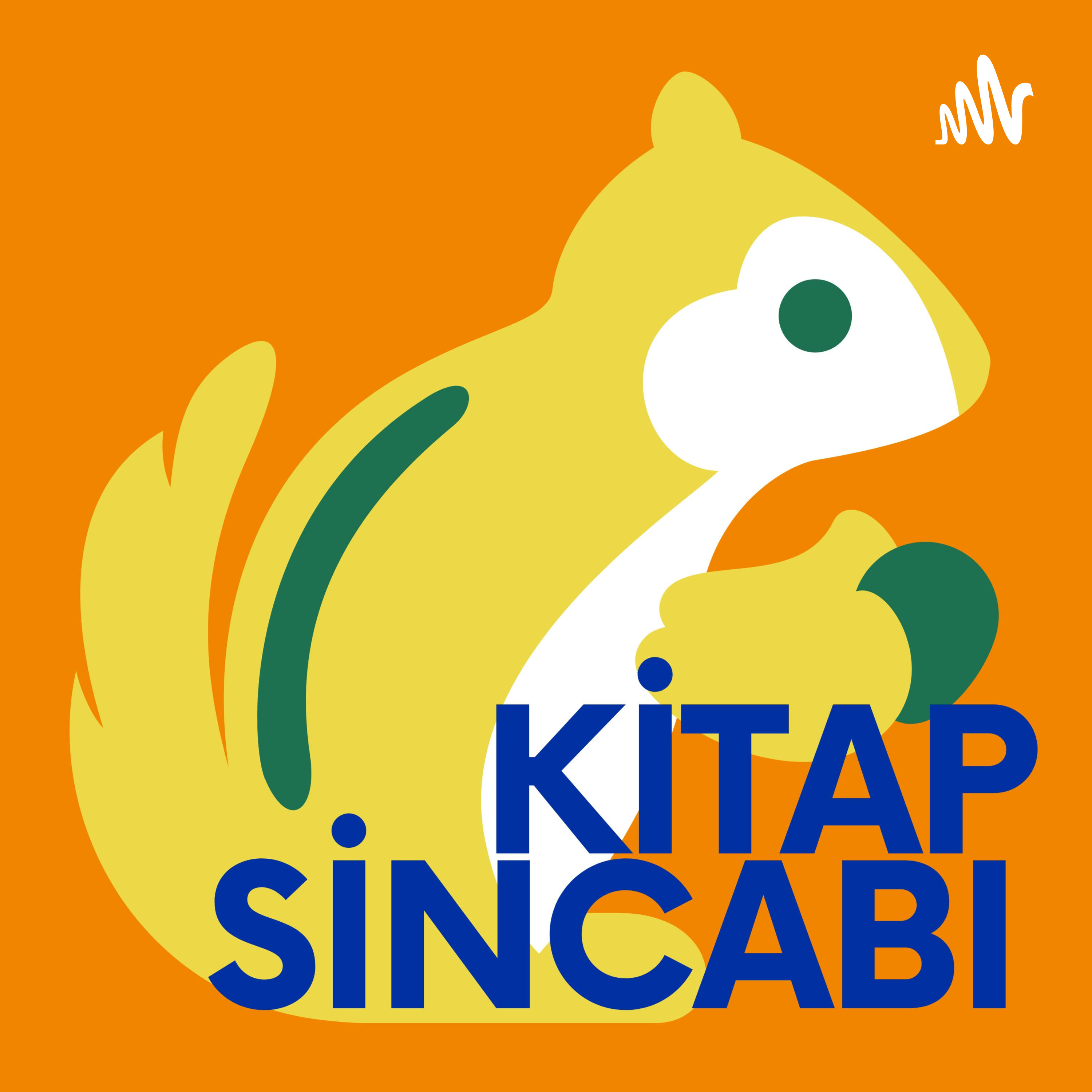 Kitap Sincabı cover art