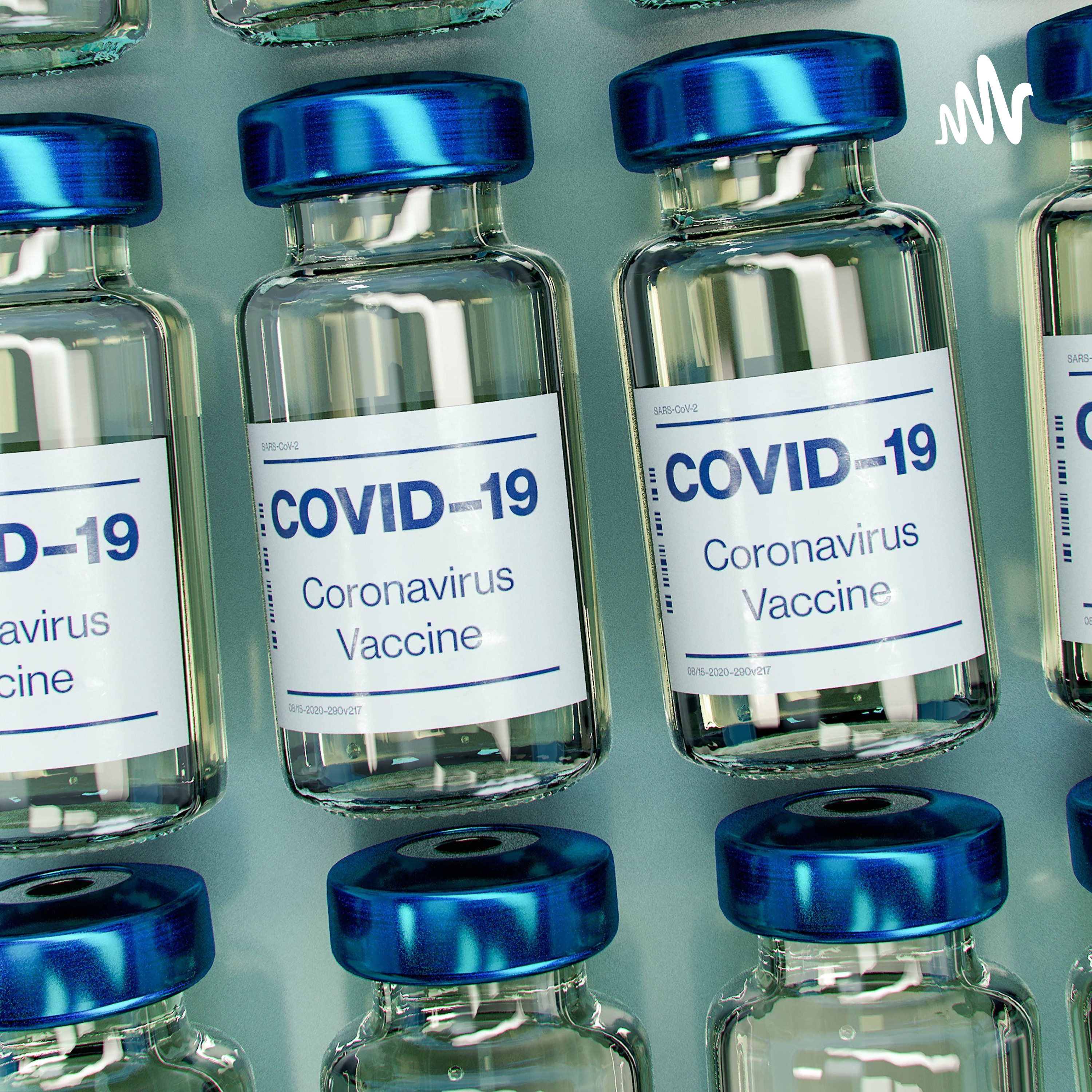 DESENVOLVIMENTO DA VACINA NO BRASIL