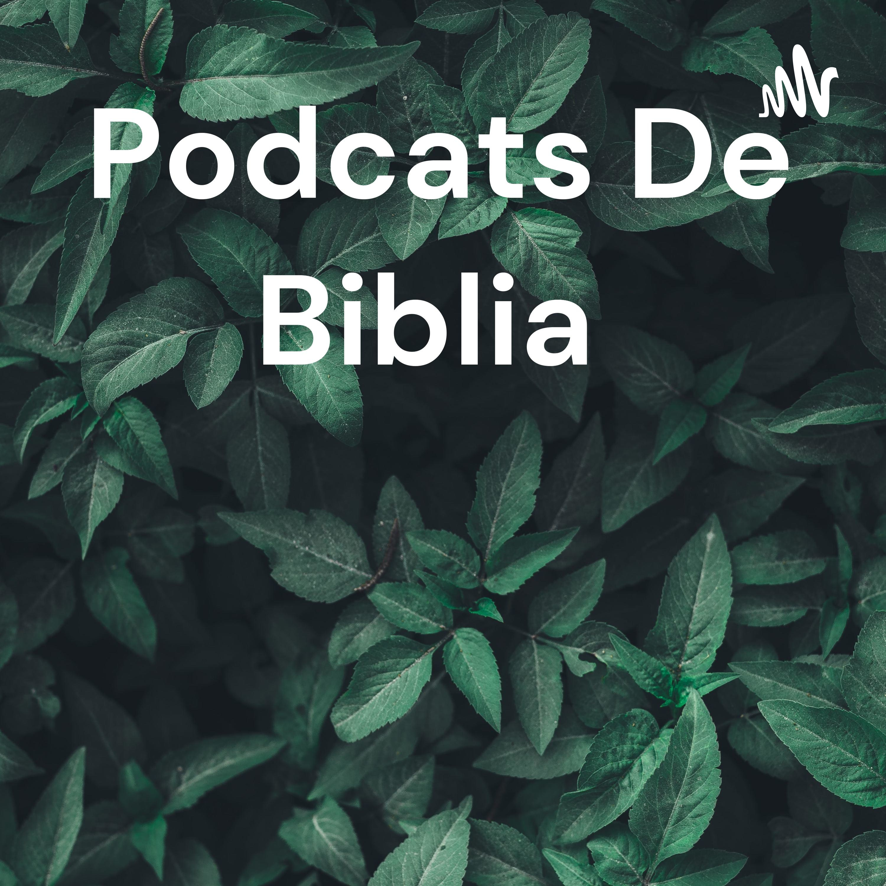 Podcats De Biblia cover art