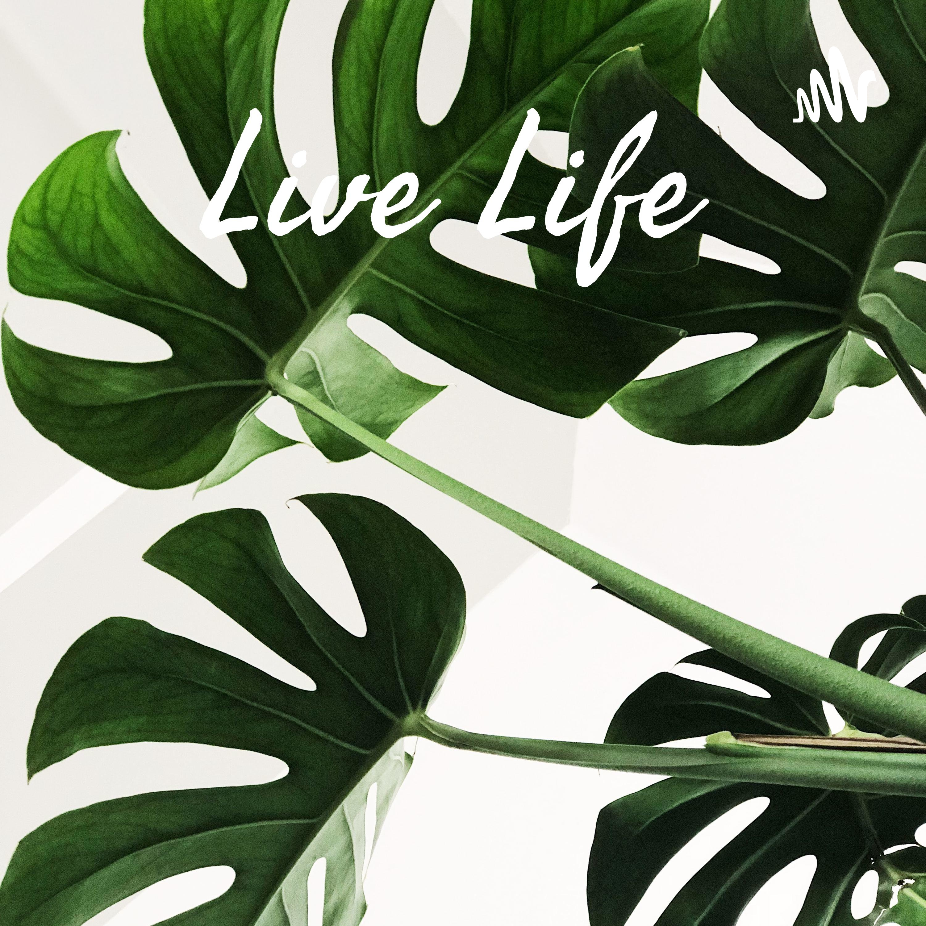 Live Life 