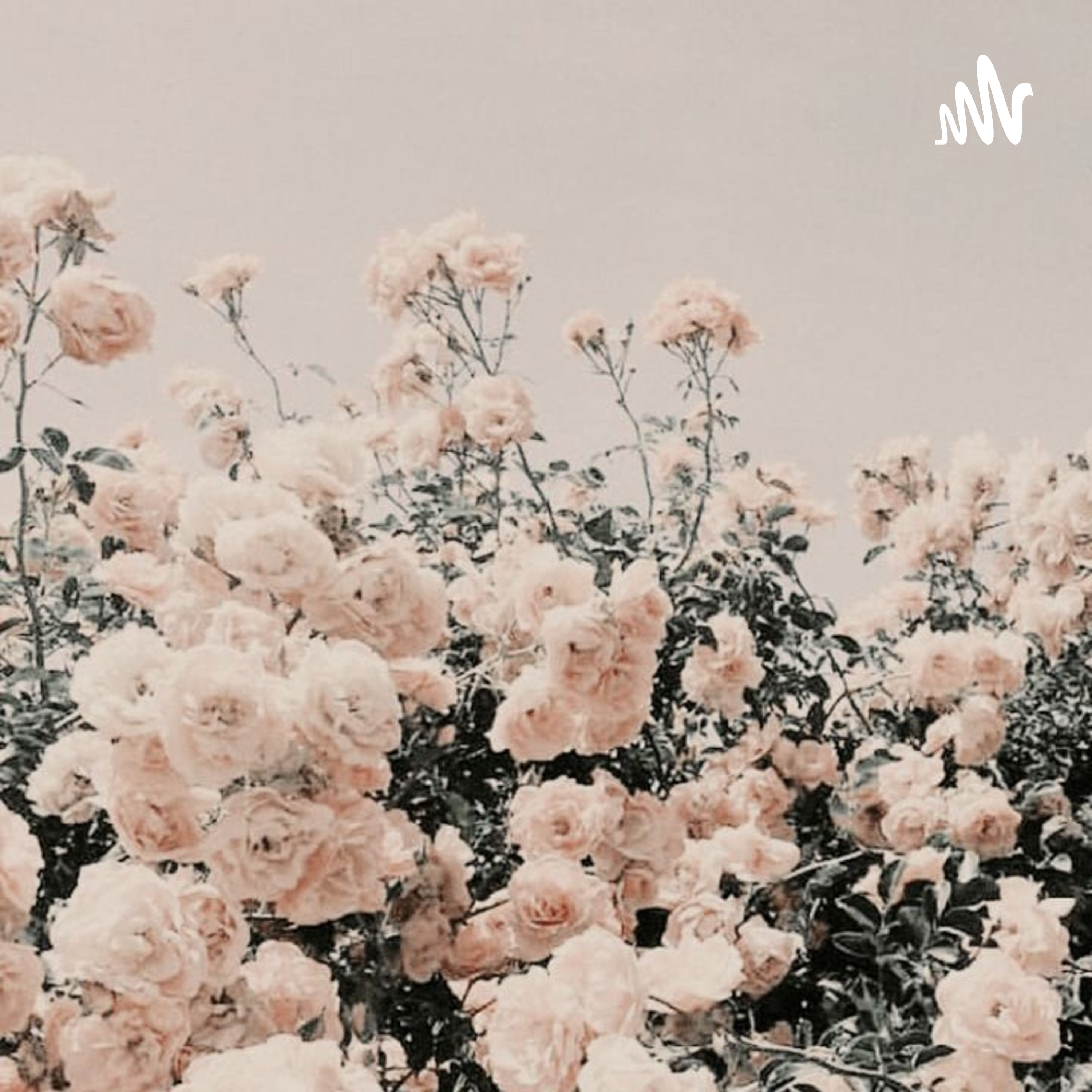 Chit Chat With AYESHA cover art