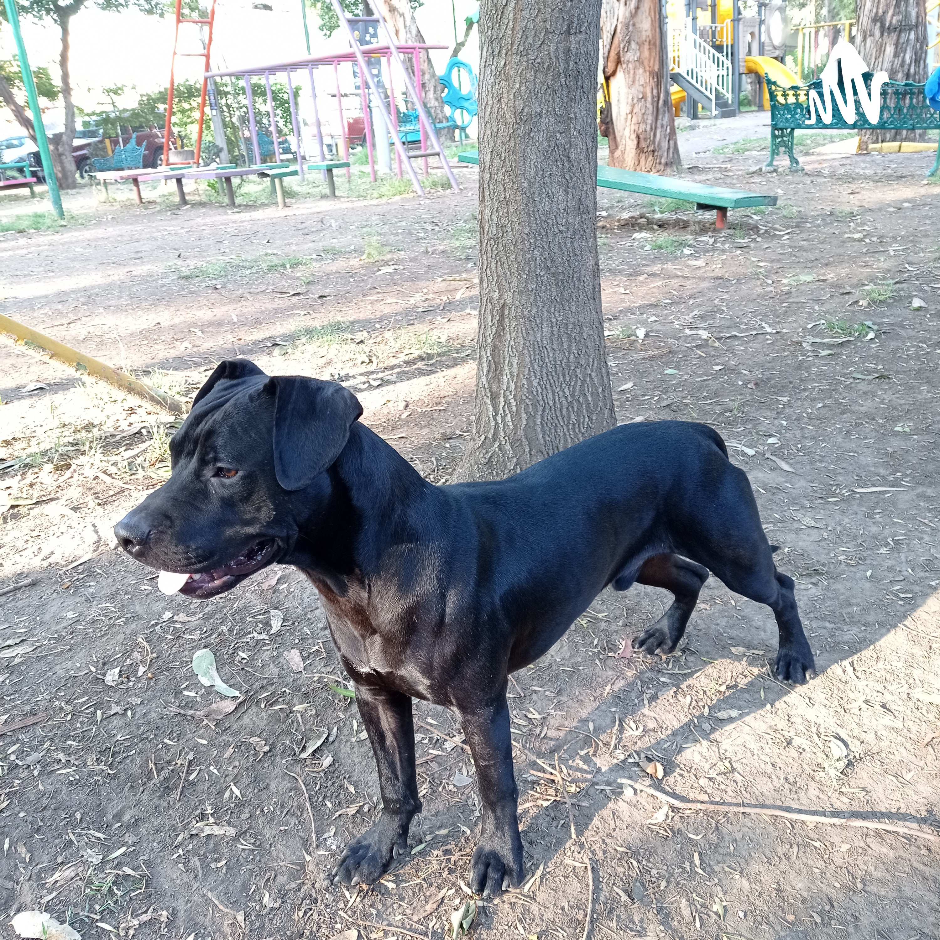 Plusvalía Y El Entorno De Esta Misma cover art