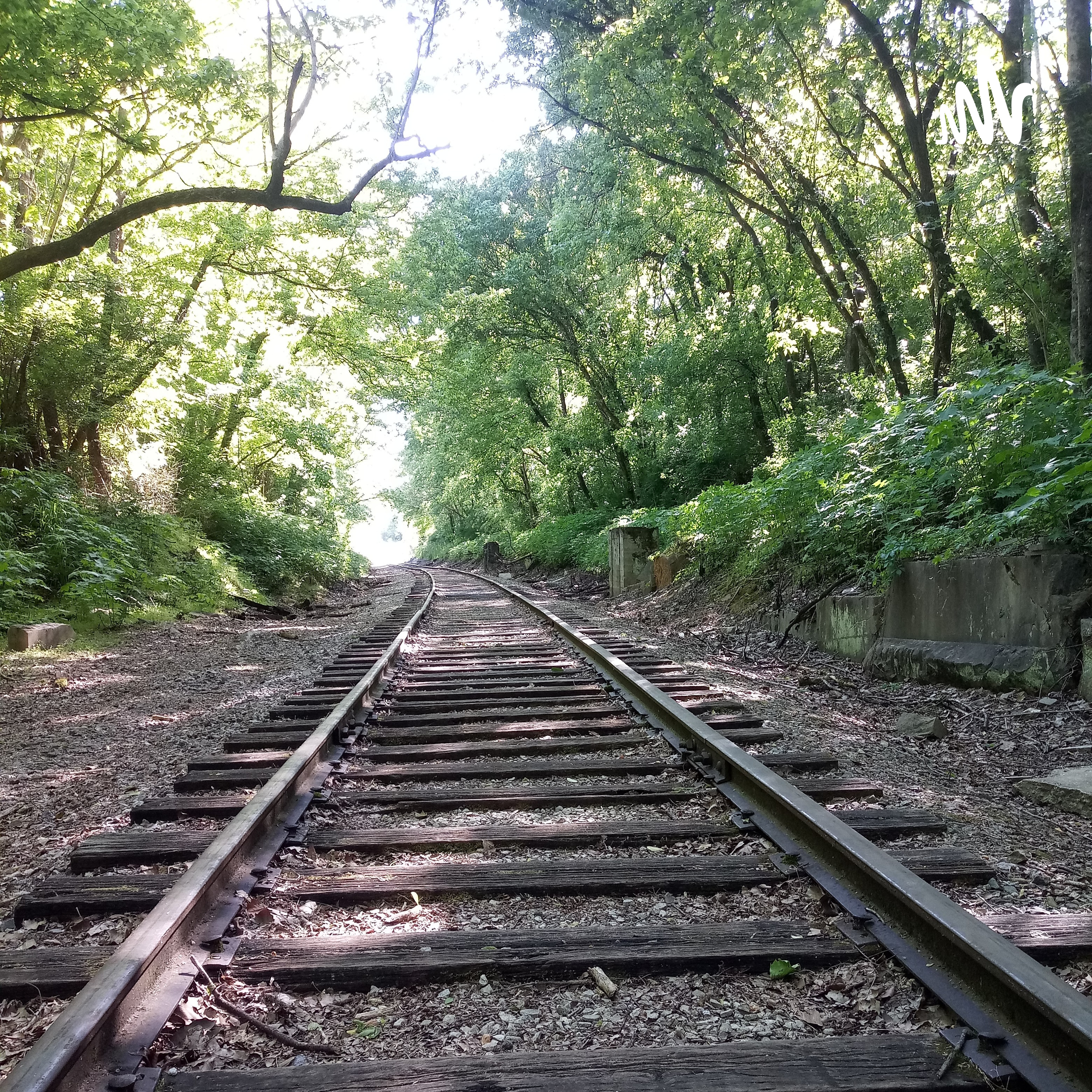 The Mind Dojo cover art