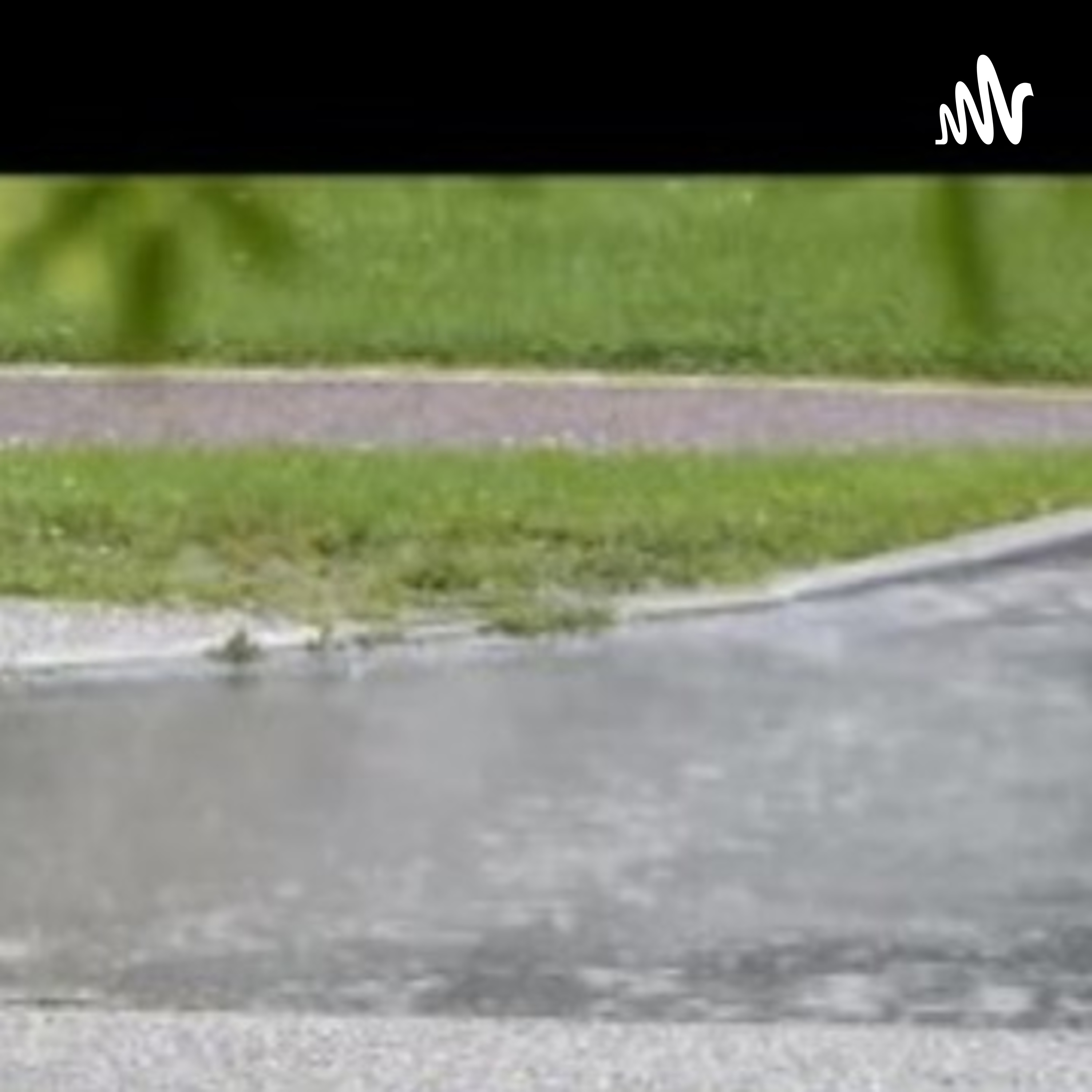 Rainfall Podcast cover art