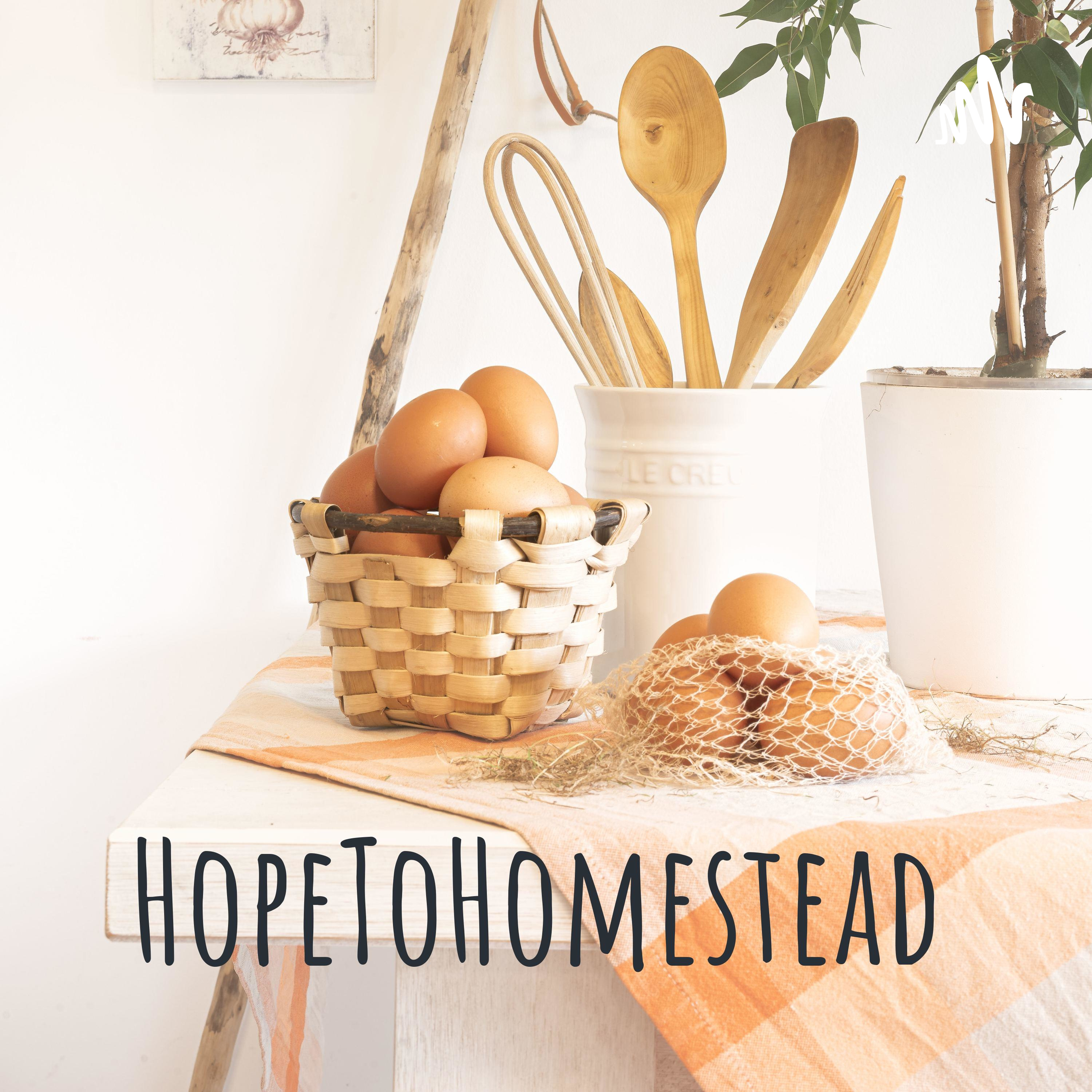 HopeToHomestead