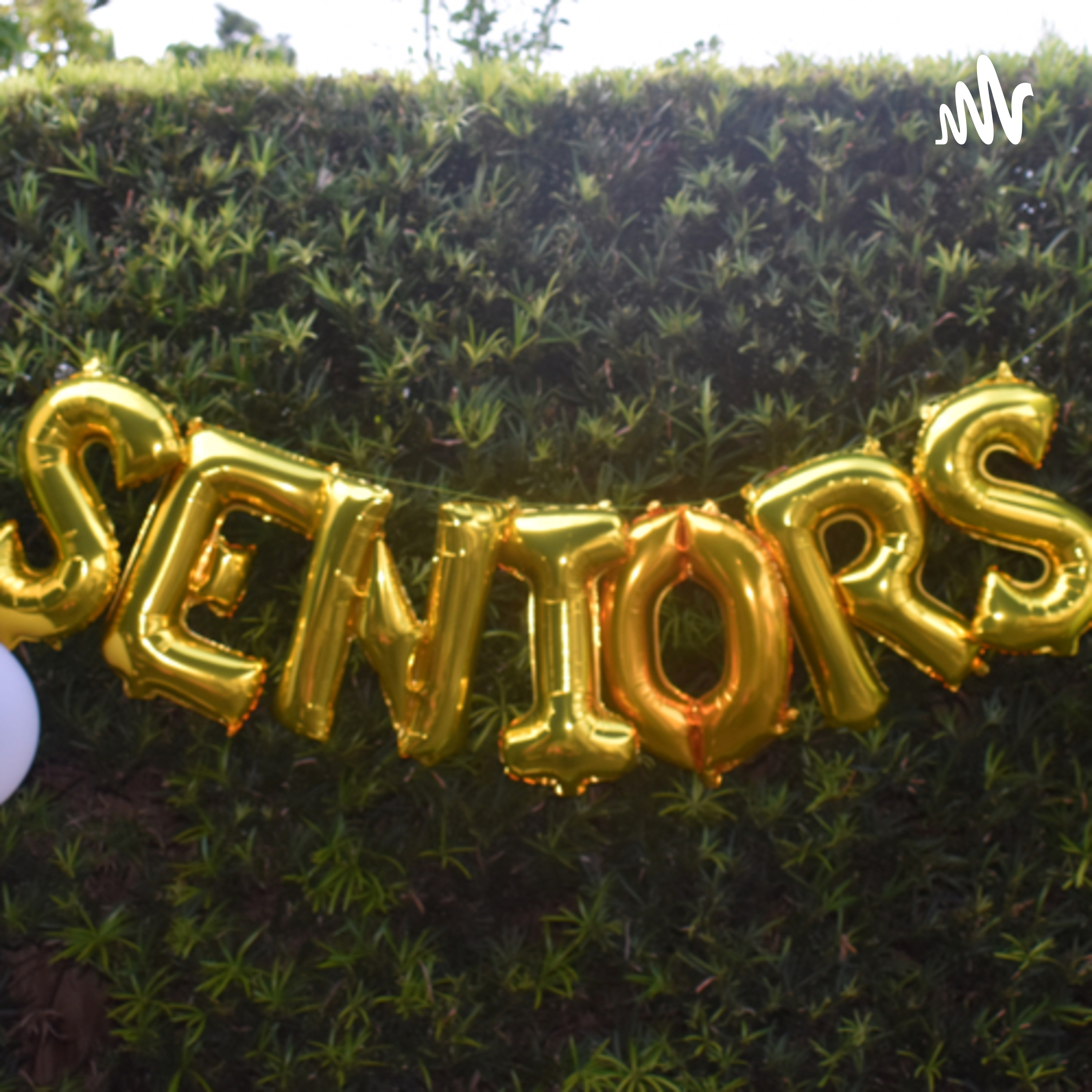 High school... the truth cover art