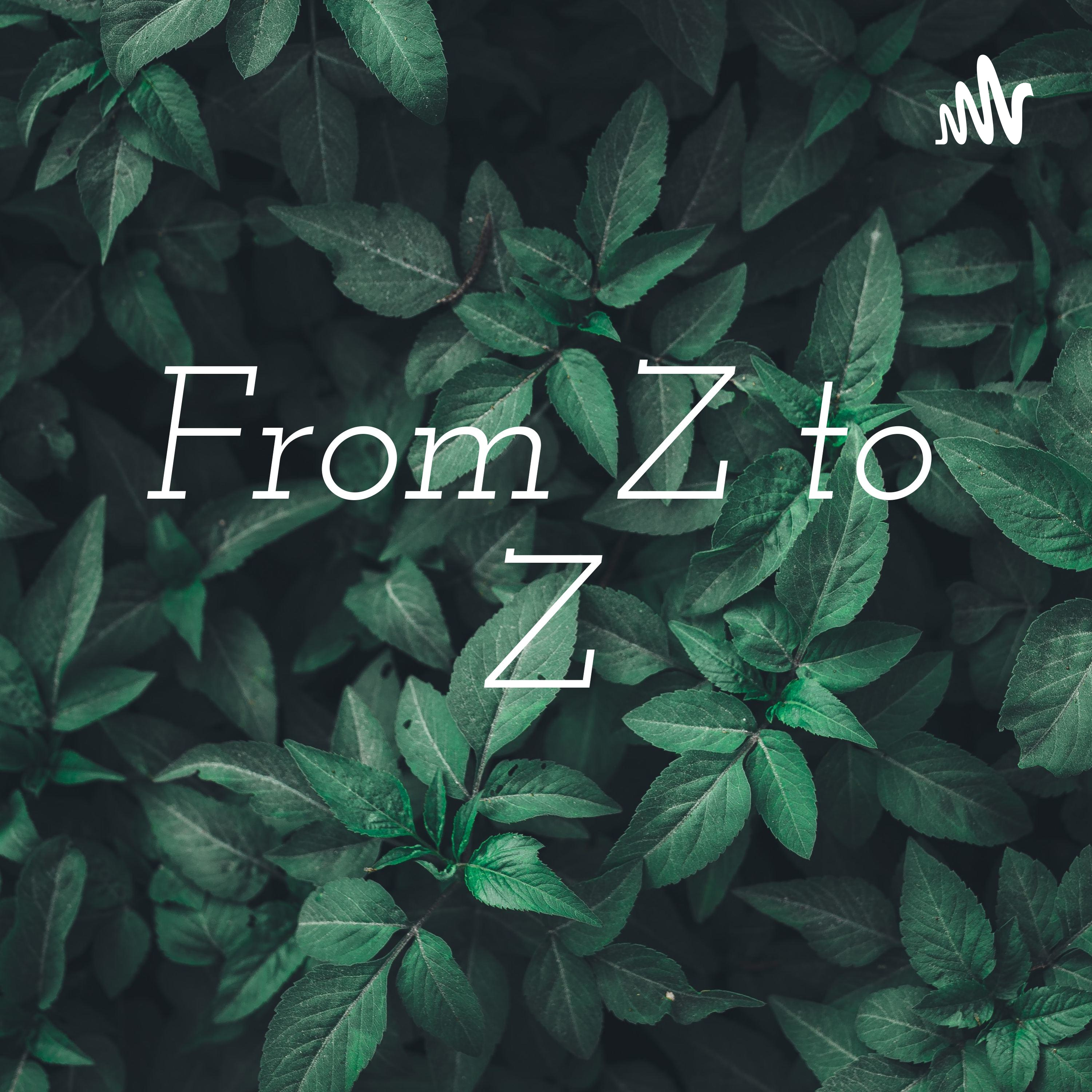 From Z to Z