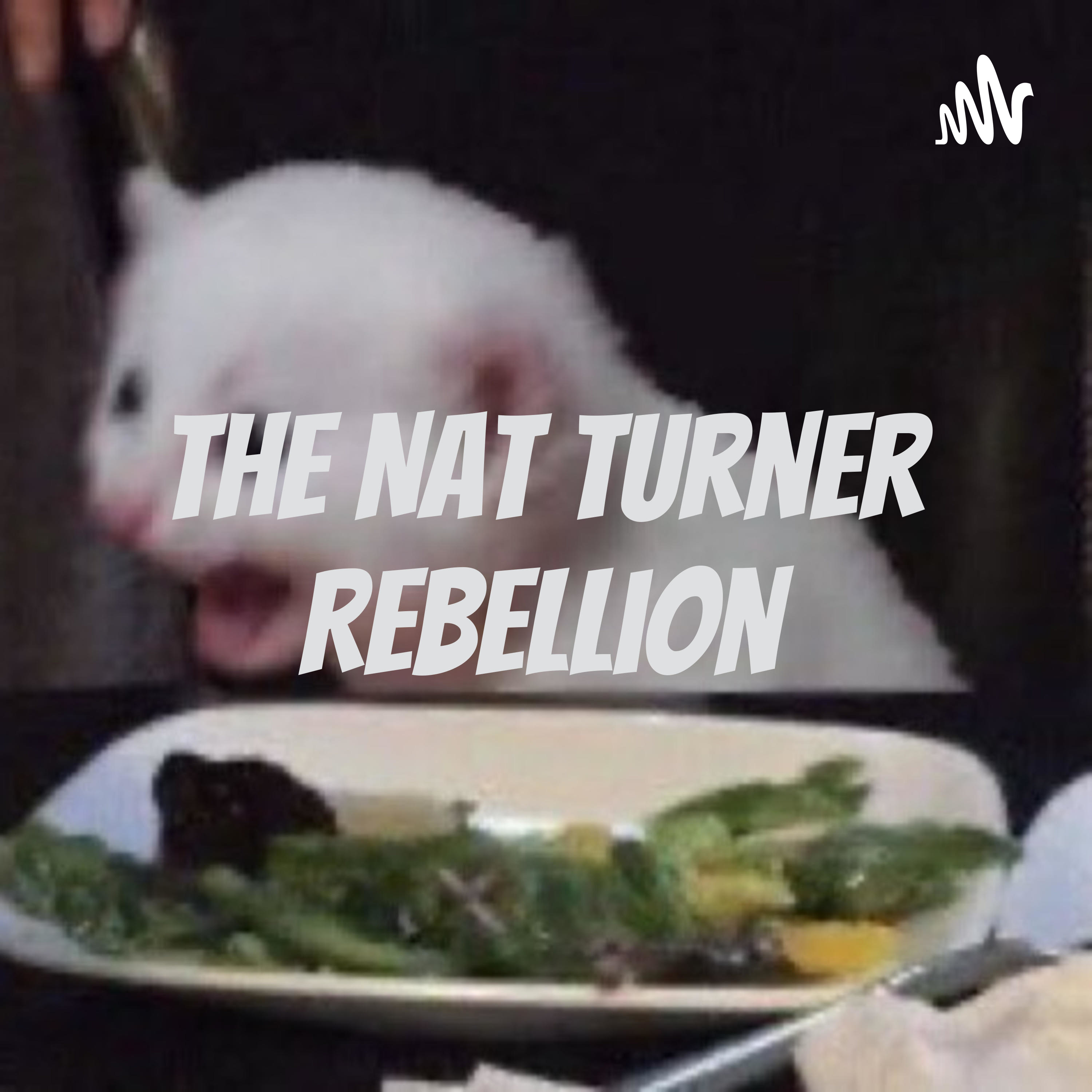 The Nat Turner Rebellion cover art