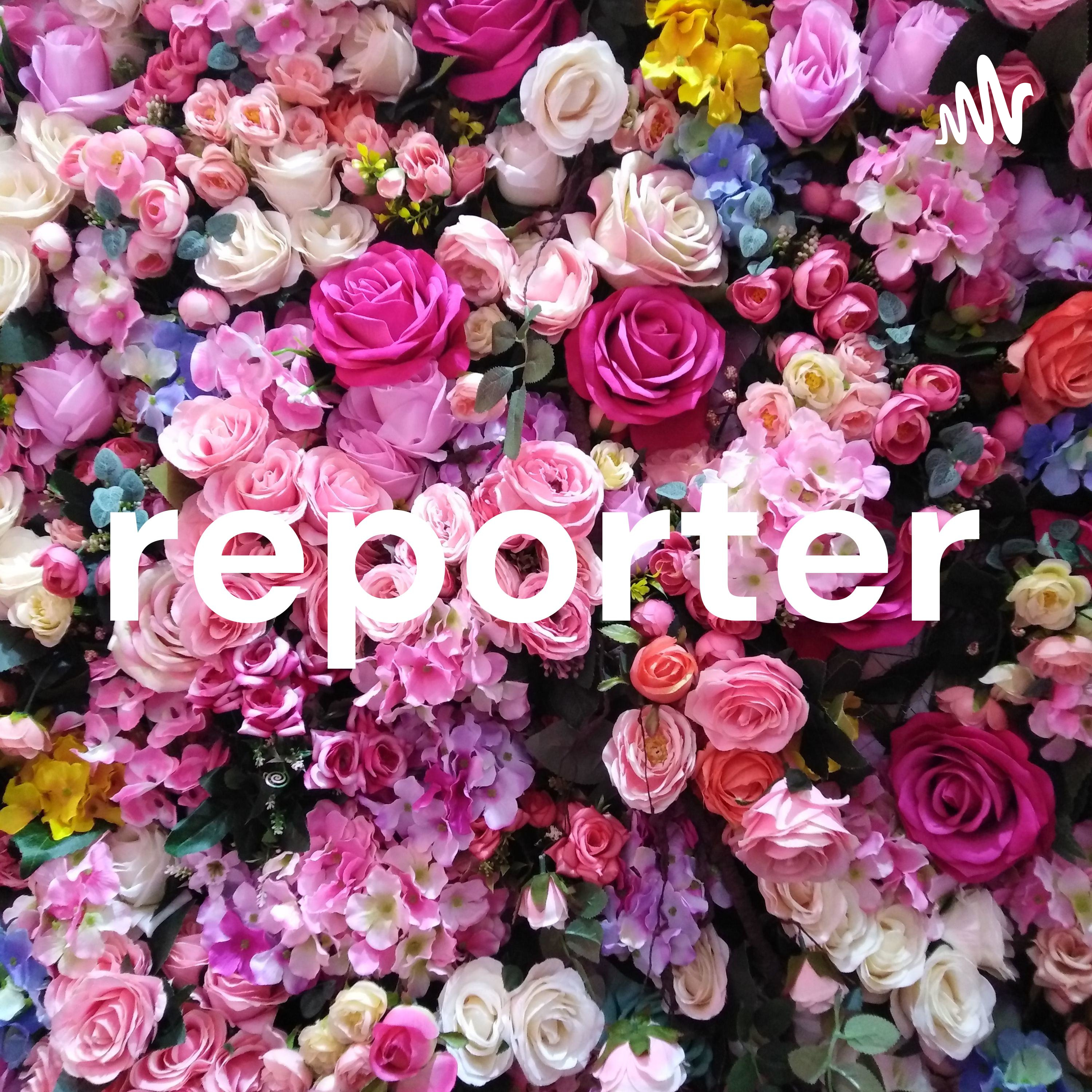 reporter cover art