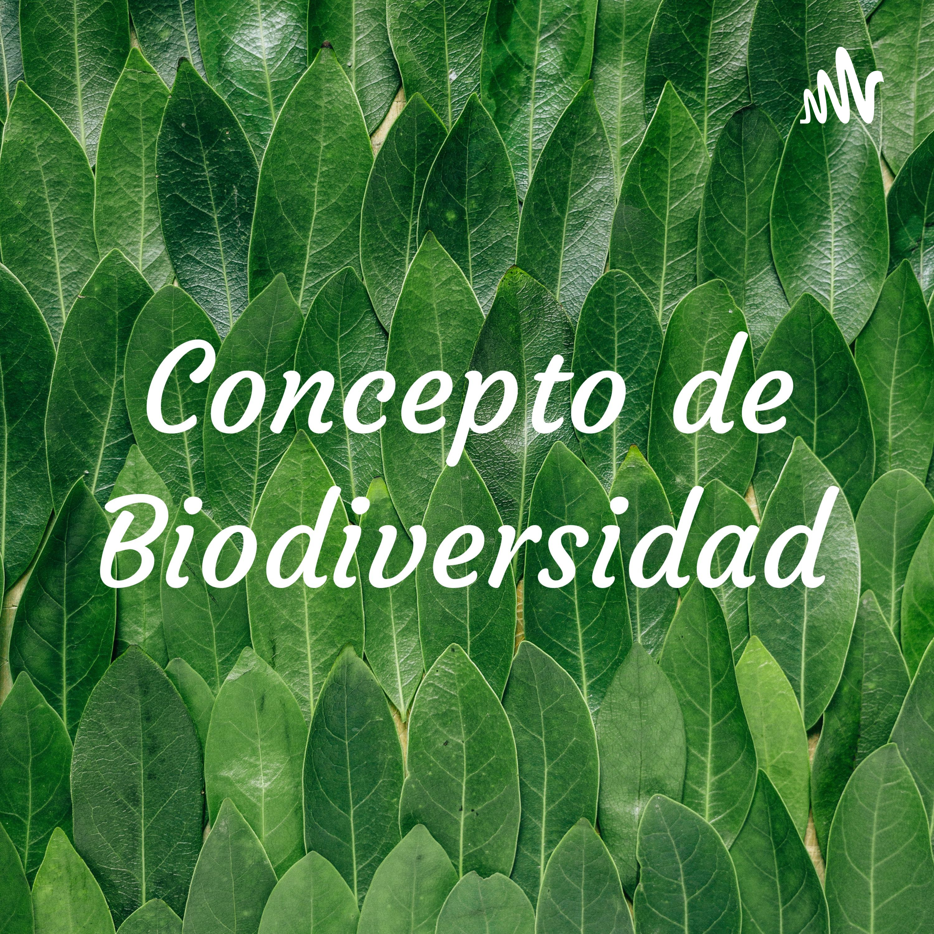 Concepto de Biodiversidad cover art
