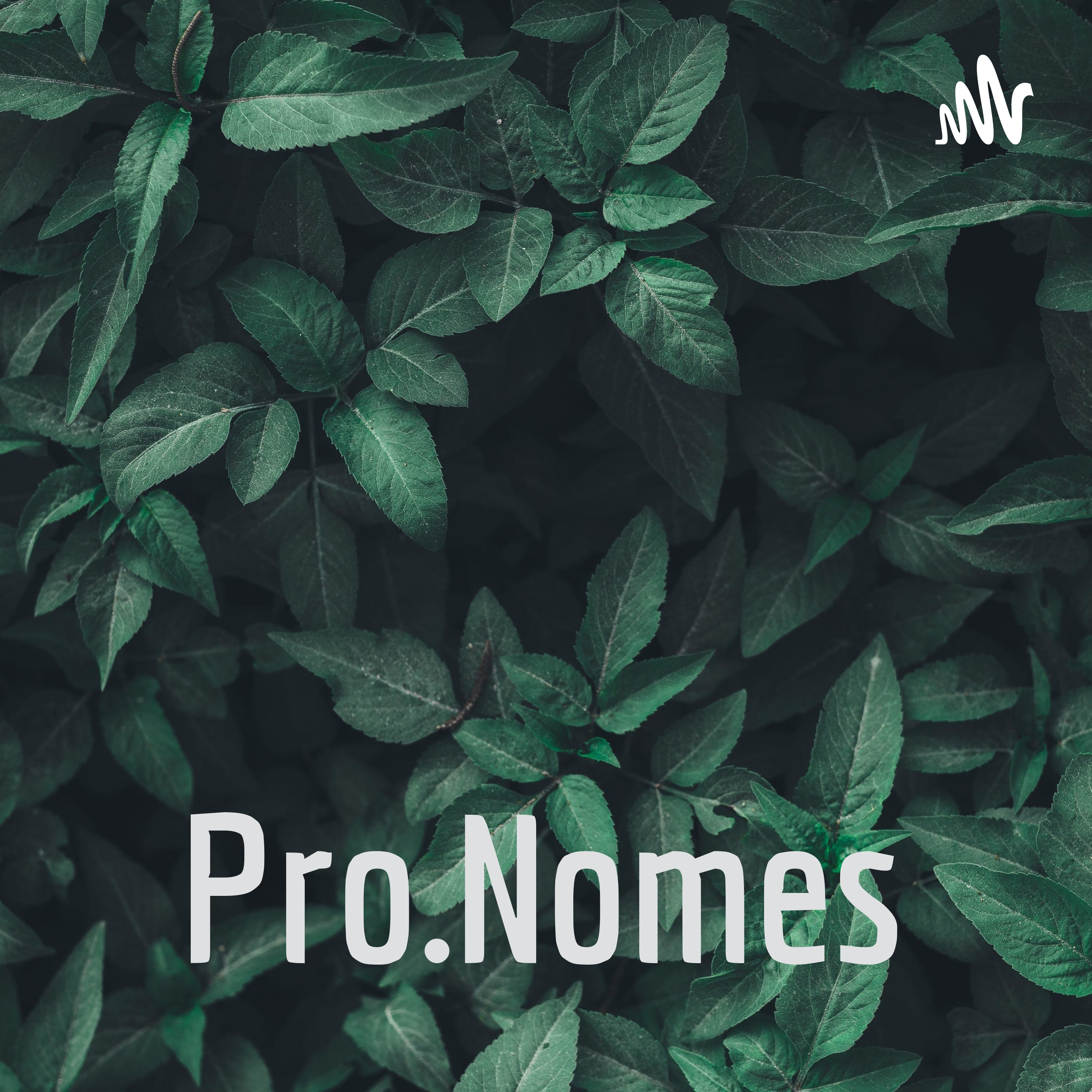 Pro.Nomes podcast artwork