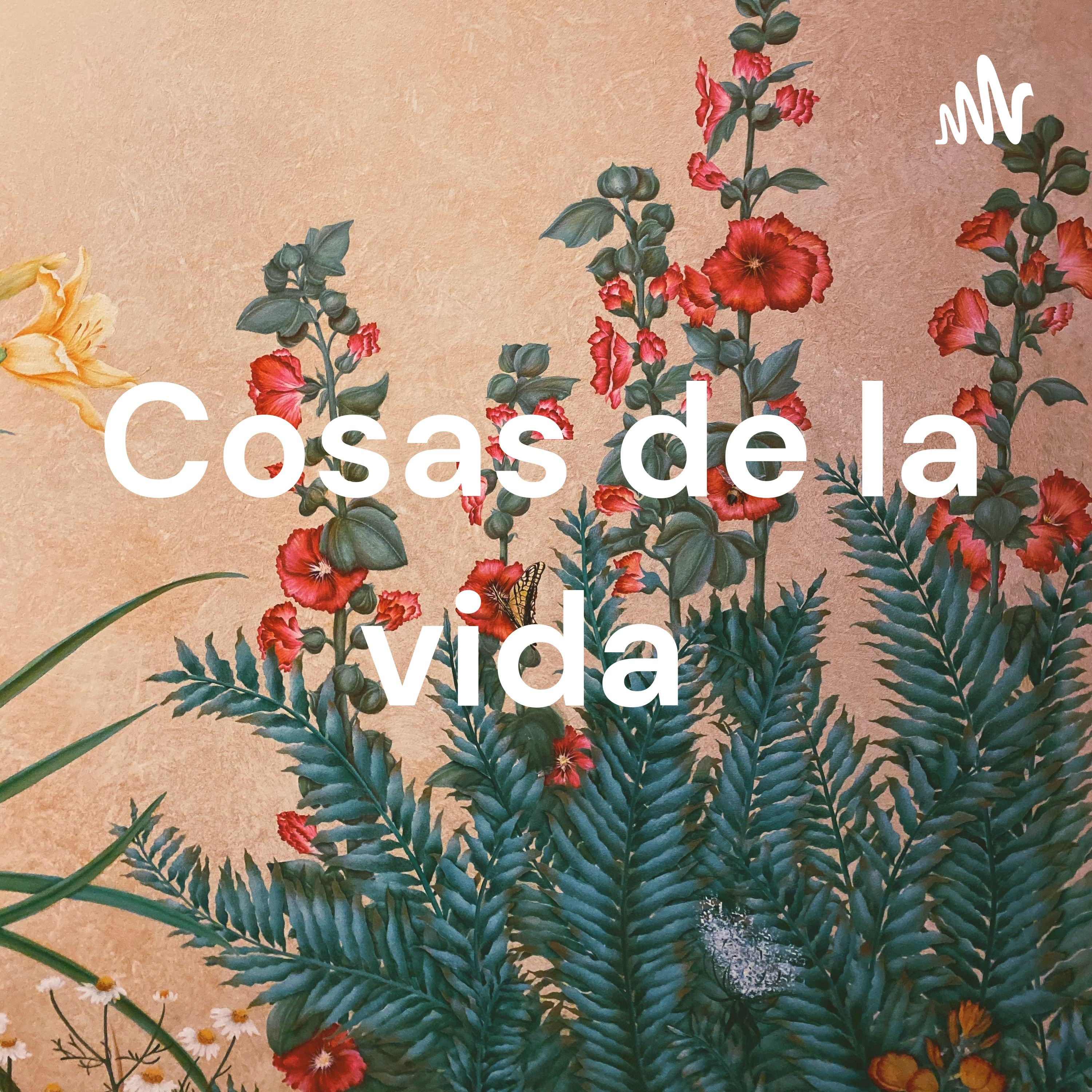 Cosas de la vida 